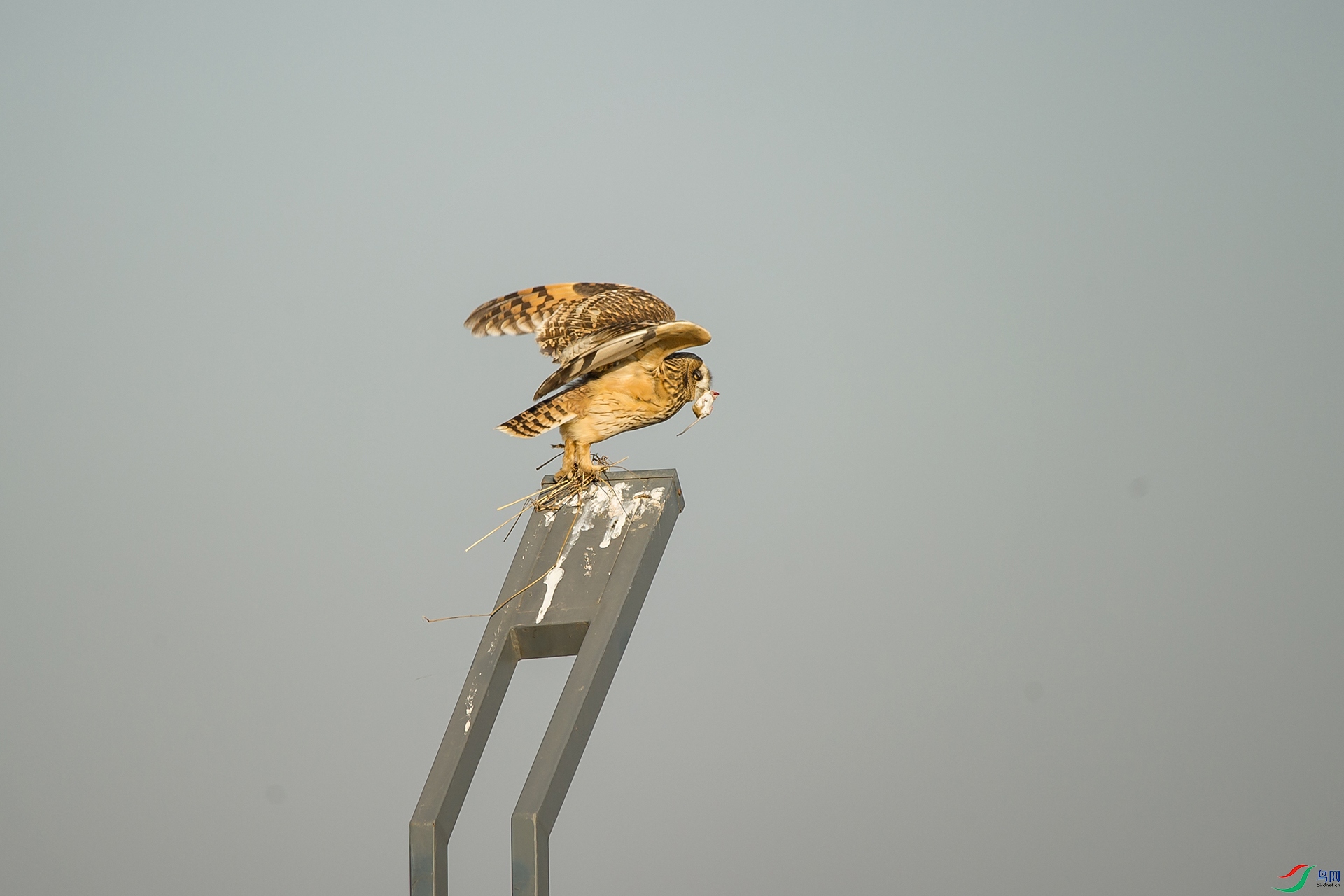 DSC_1330-20201228�ü�.jpg