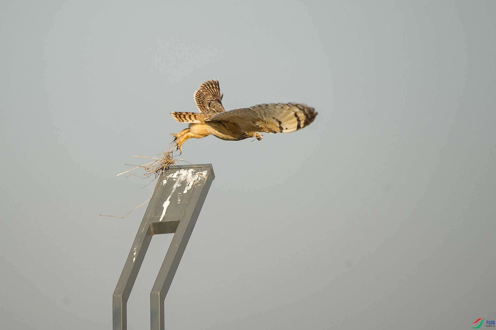 DSC_1331-20201228�ü�.jpg