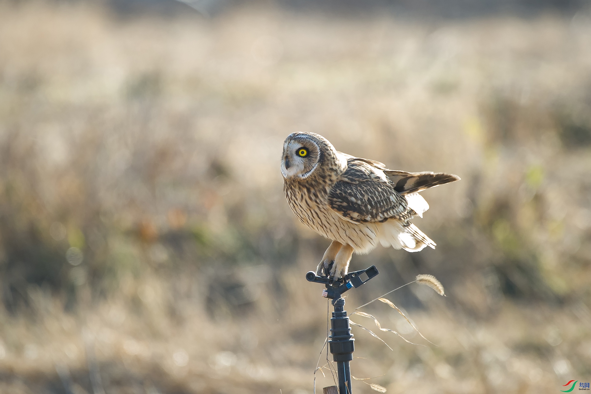 DSC_1334-20201228�ü�.jpg