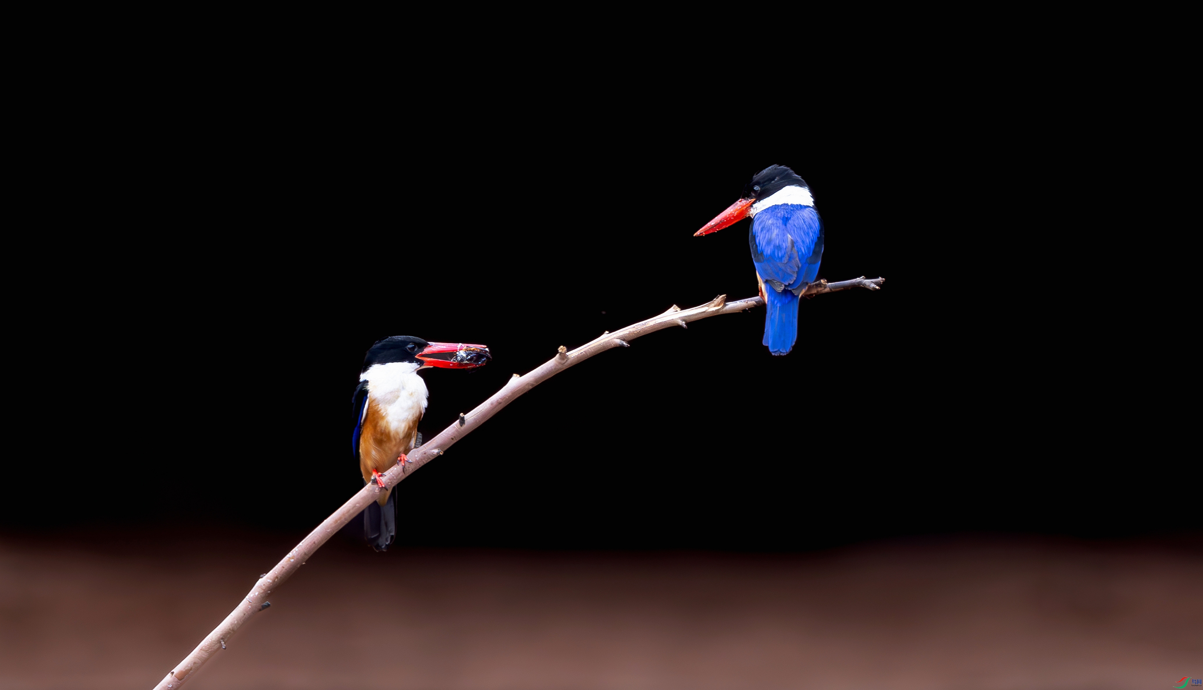 412A7364-����ǿ-����-1_����=00.jpg