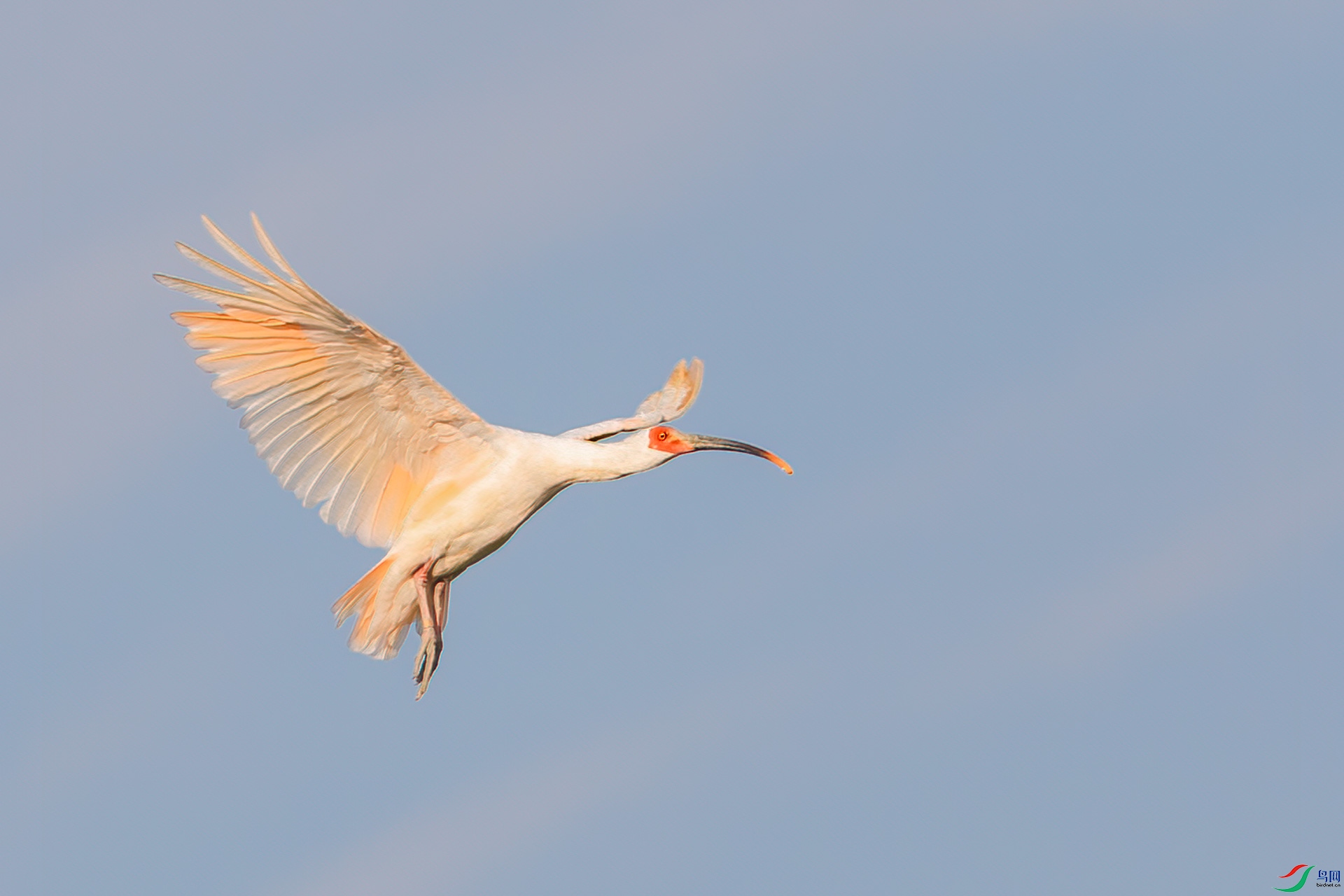 AQ4P1206-1.JPG