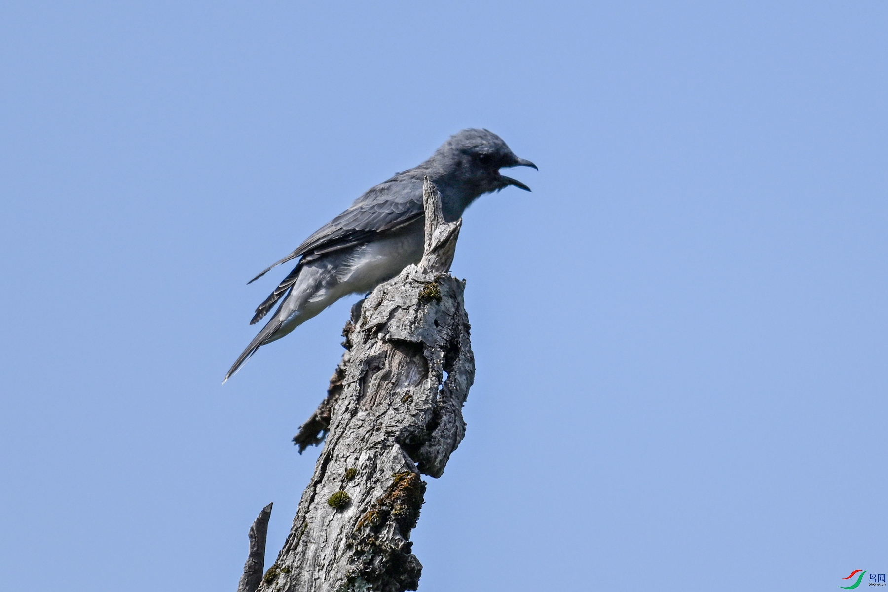 DSC_4556.JPG