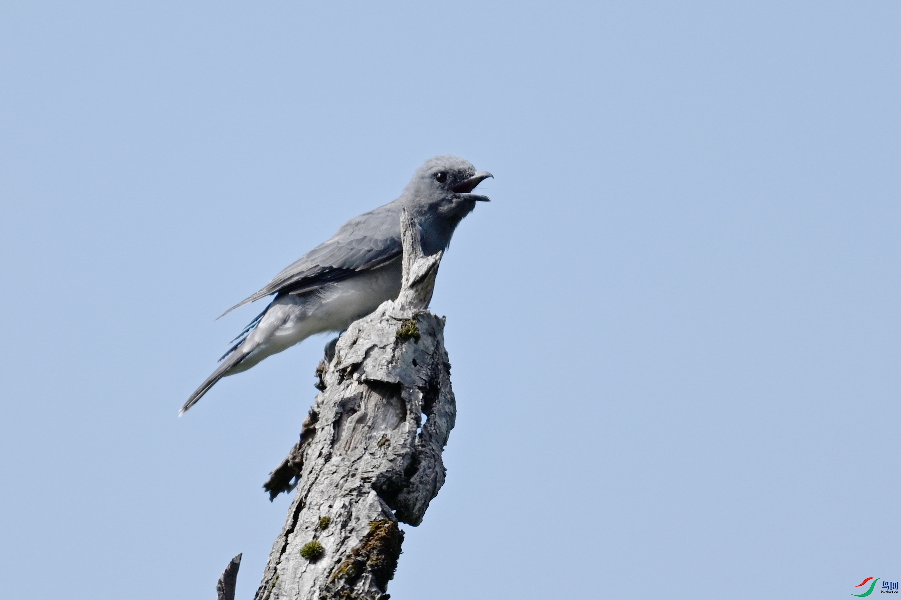 DSC_4559.JPG