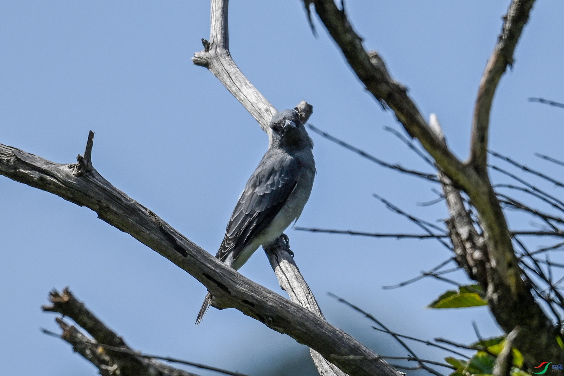 DSC_4543.JPG