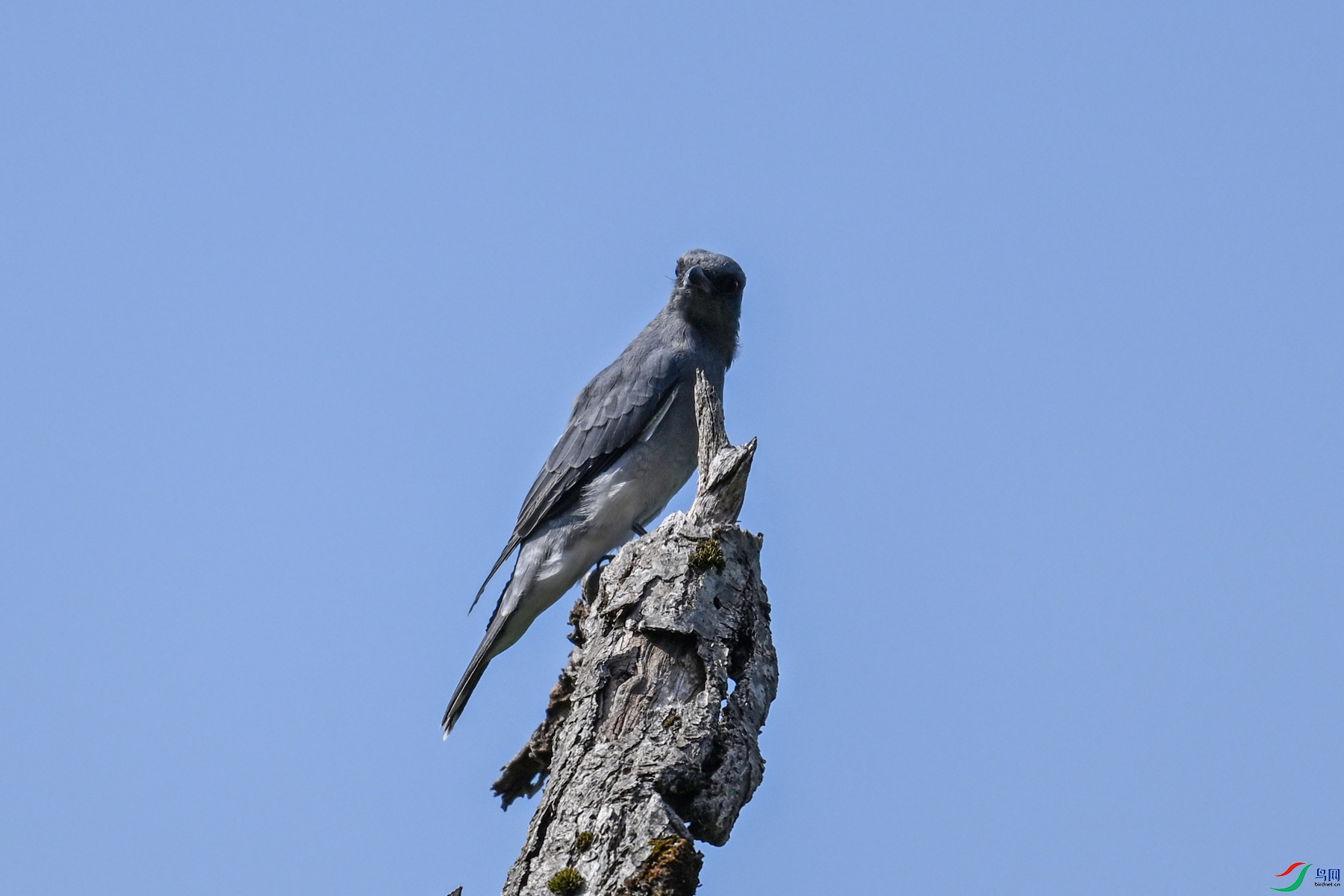 DSC_4546.JPG