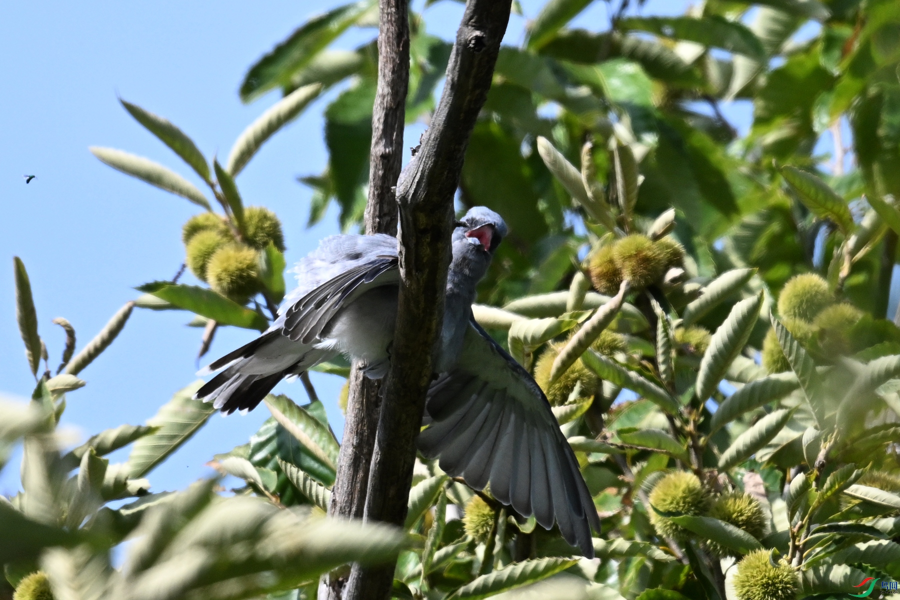 DSC_4577.JPG