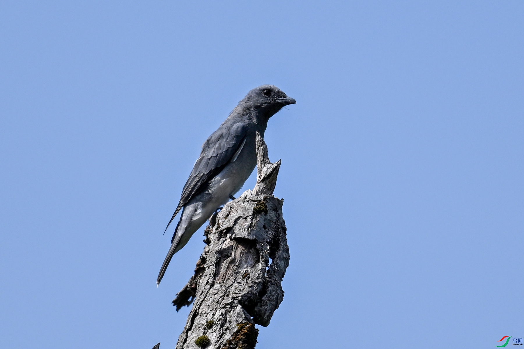 DSC_4547.JPG
