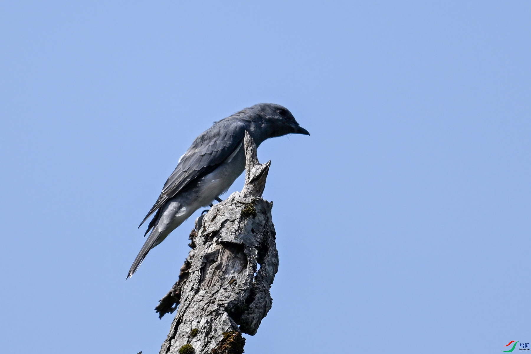 DSC_4550.JPG