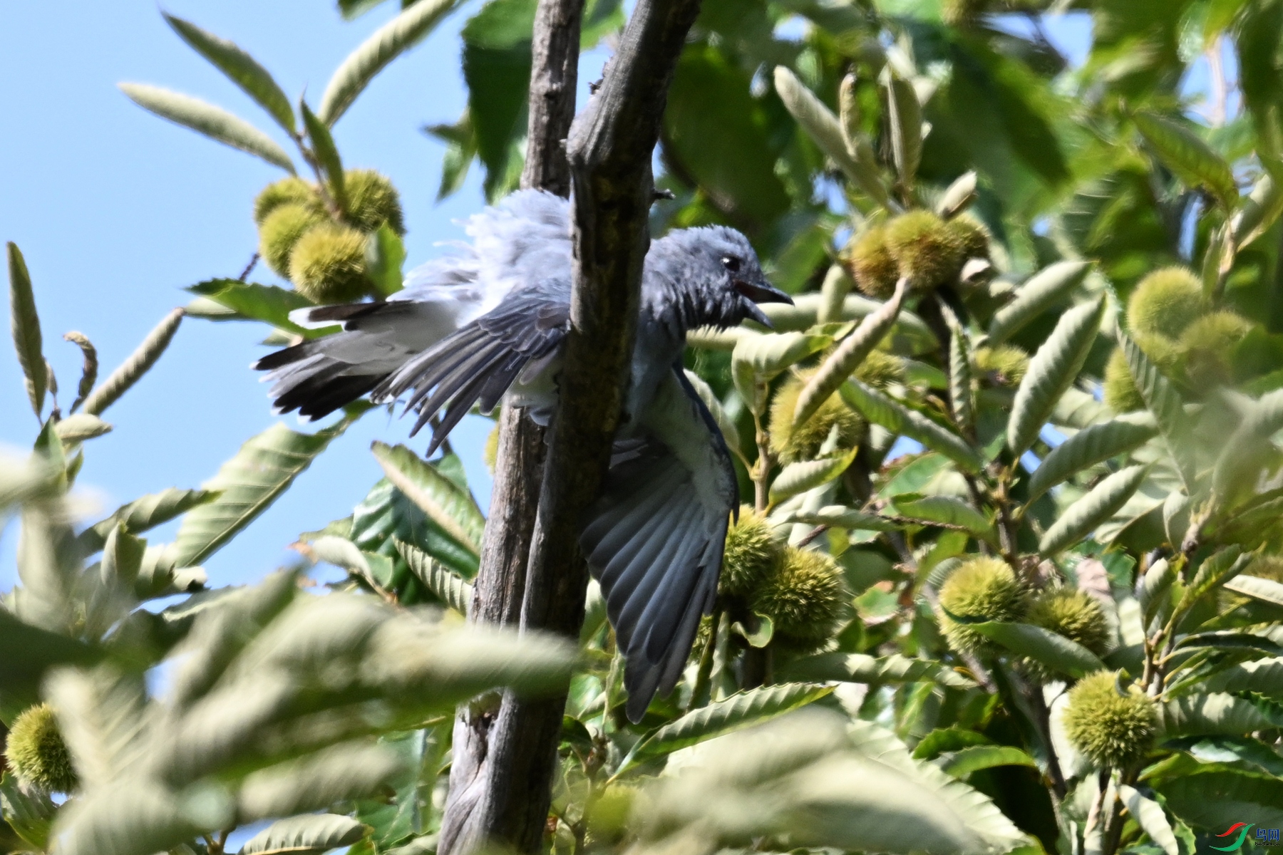 DSC_4581.JPG