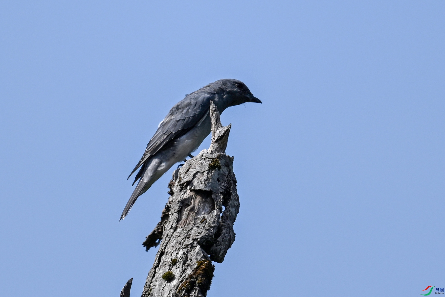 DSC_4552.JPG