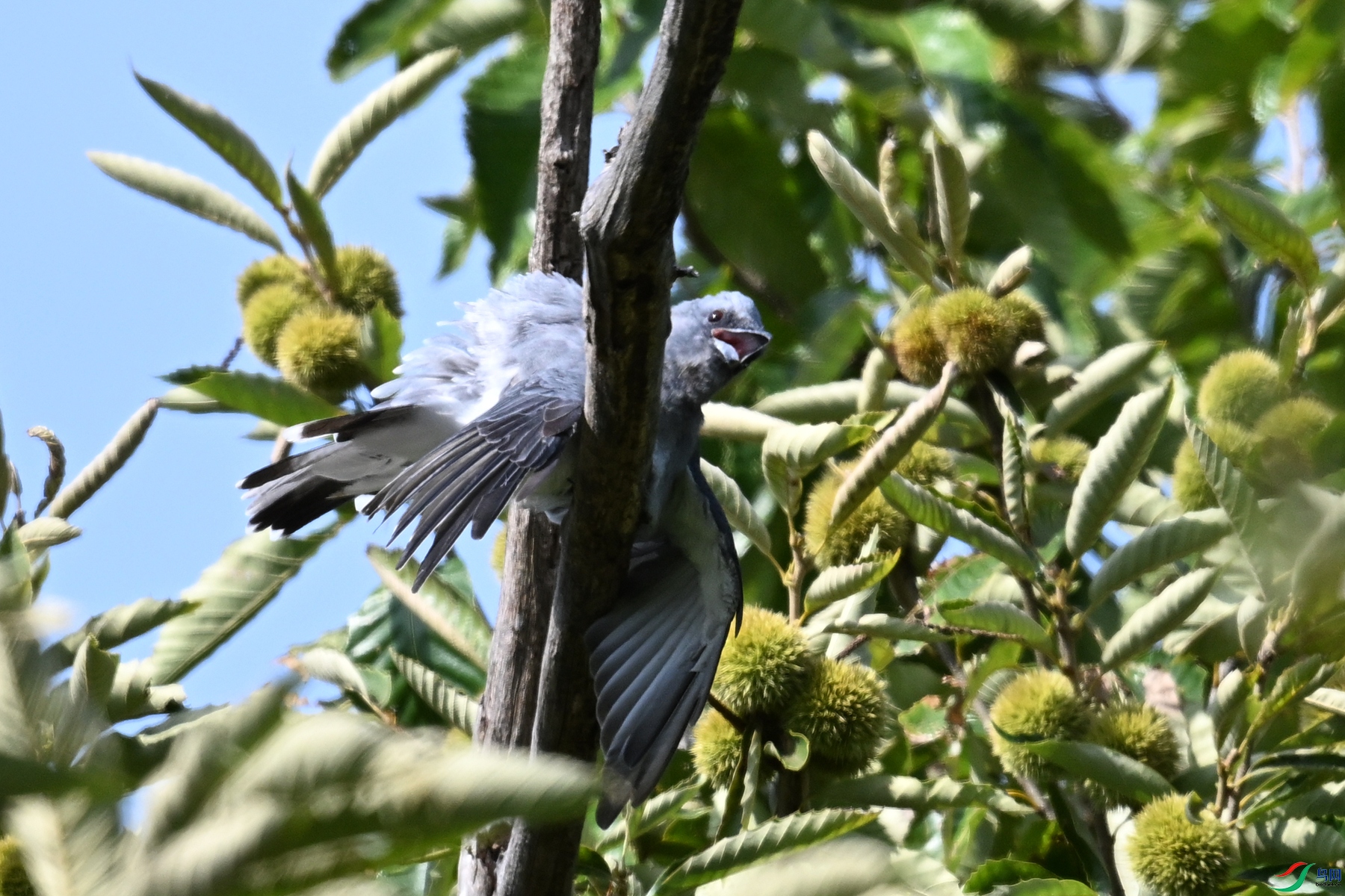 DSC_4585.JPG