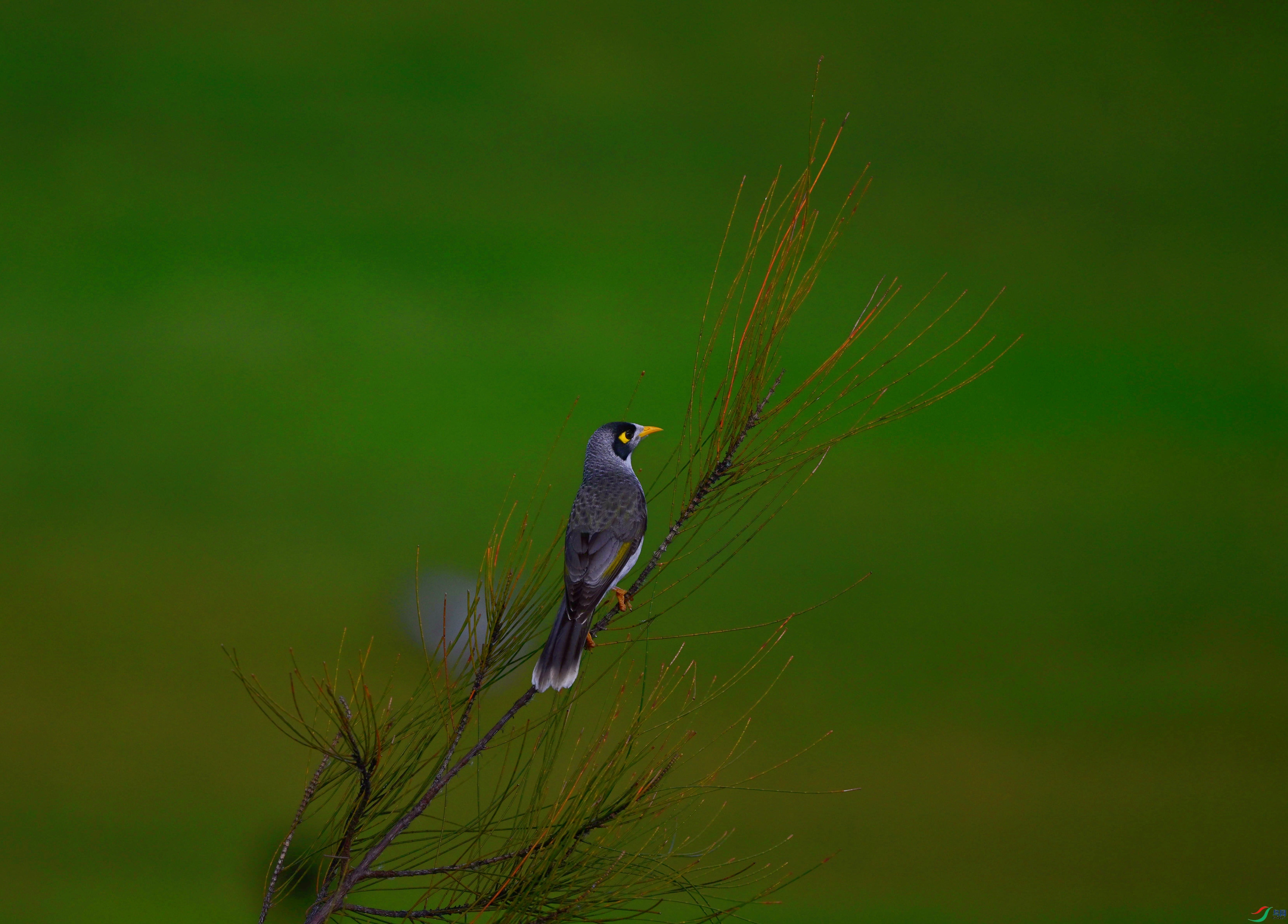 DSC_0745_��ͼ��_����.jpg
