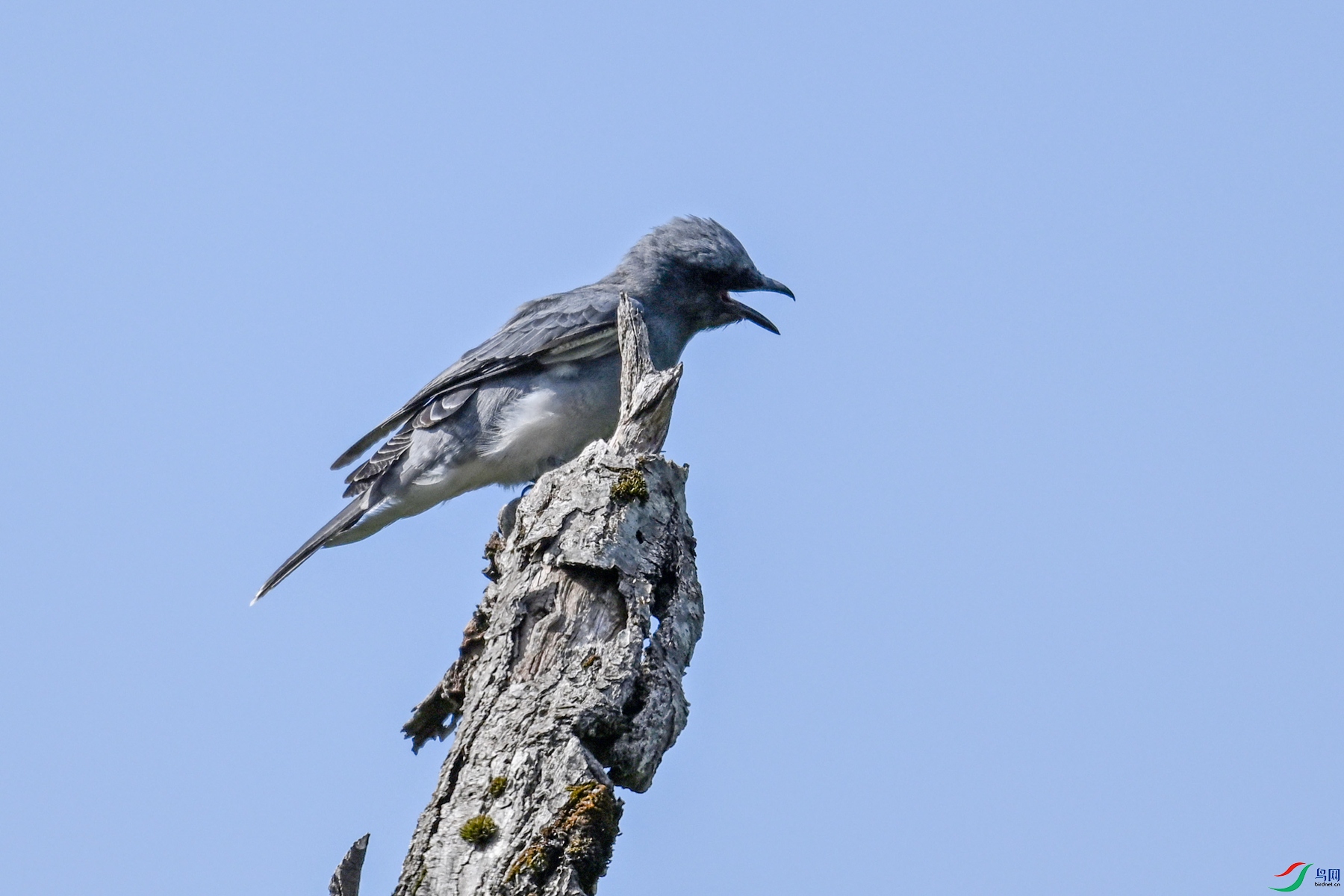 DSC_4555.JPG
