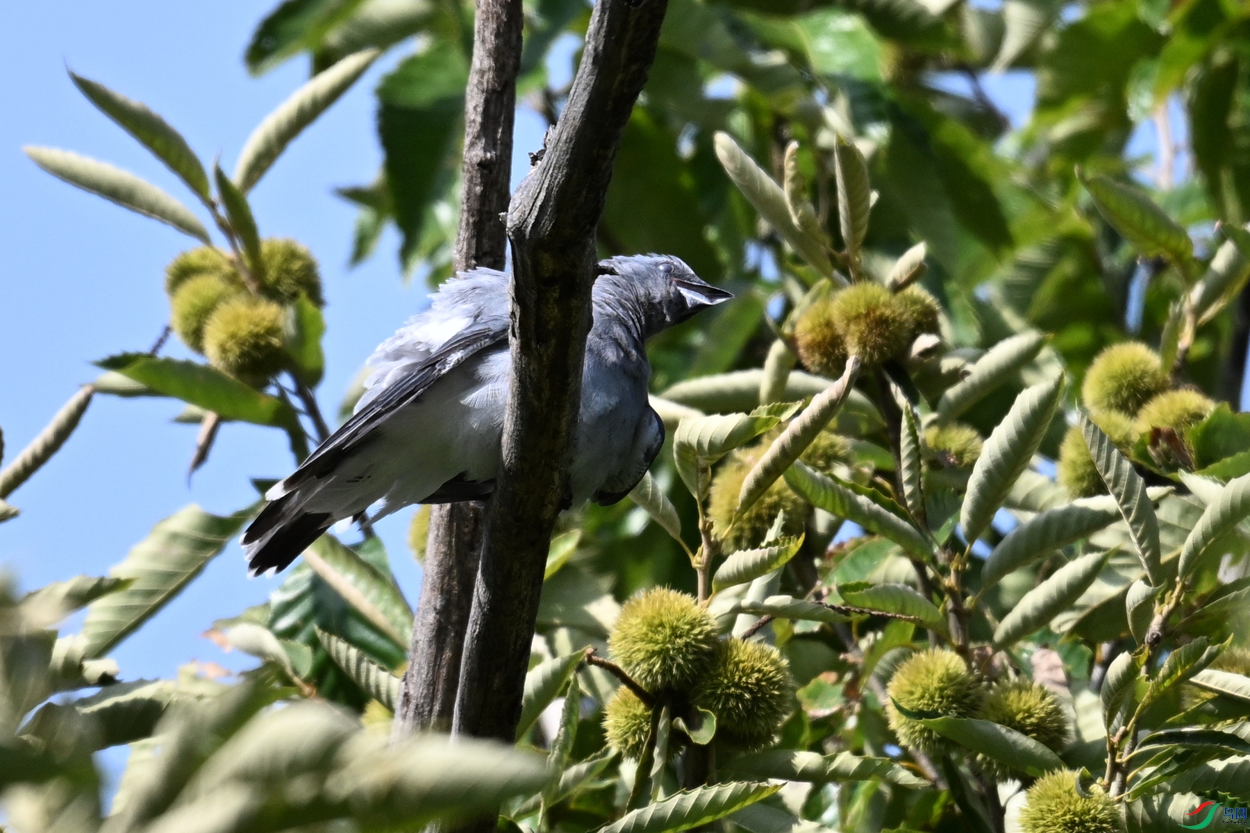 DSC_4587.JPG