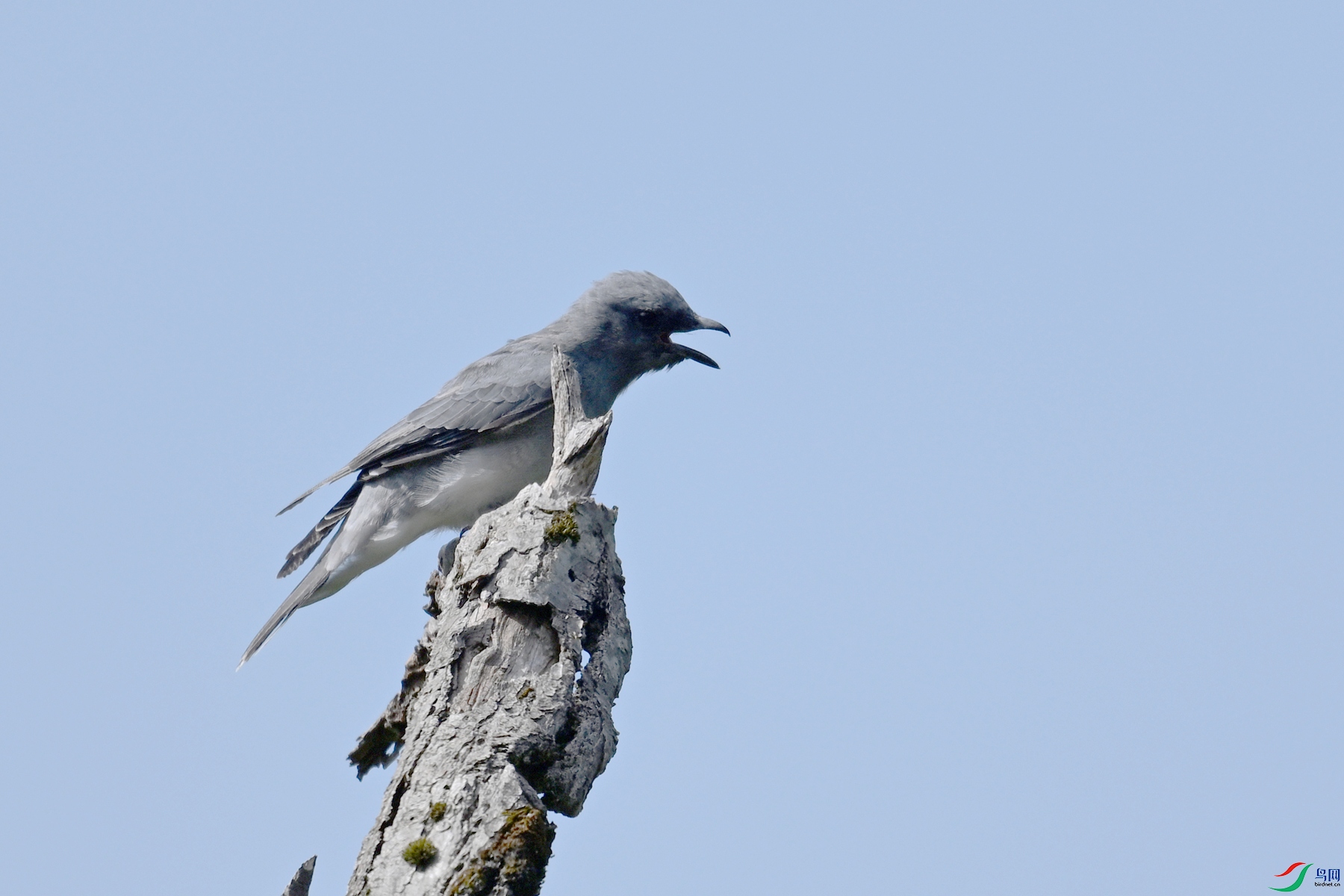 DSC_4558.JPG