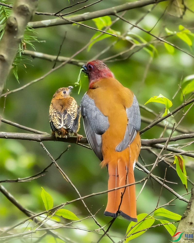 DSC_2289 .jpg