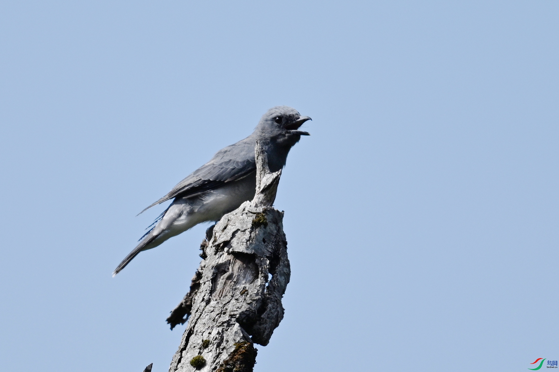 DSC_4561.JPG