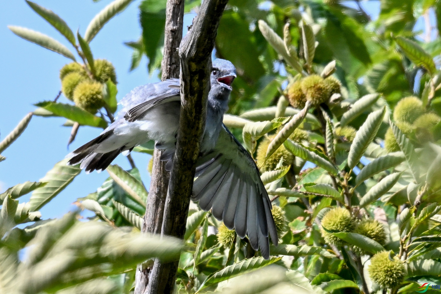 DSC_4571.JPG