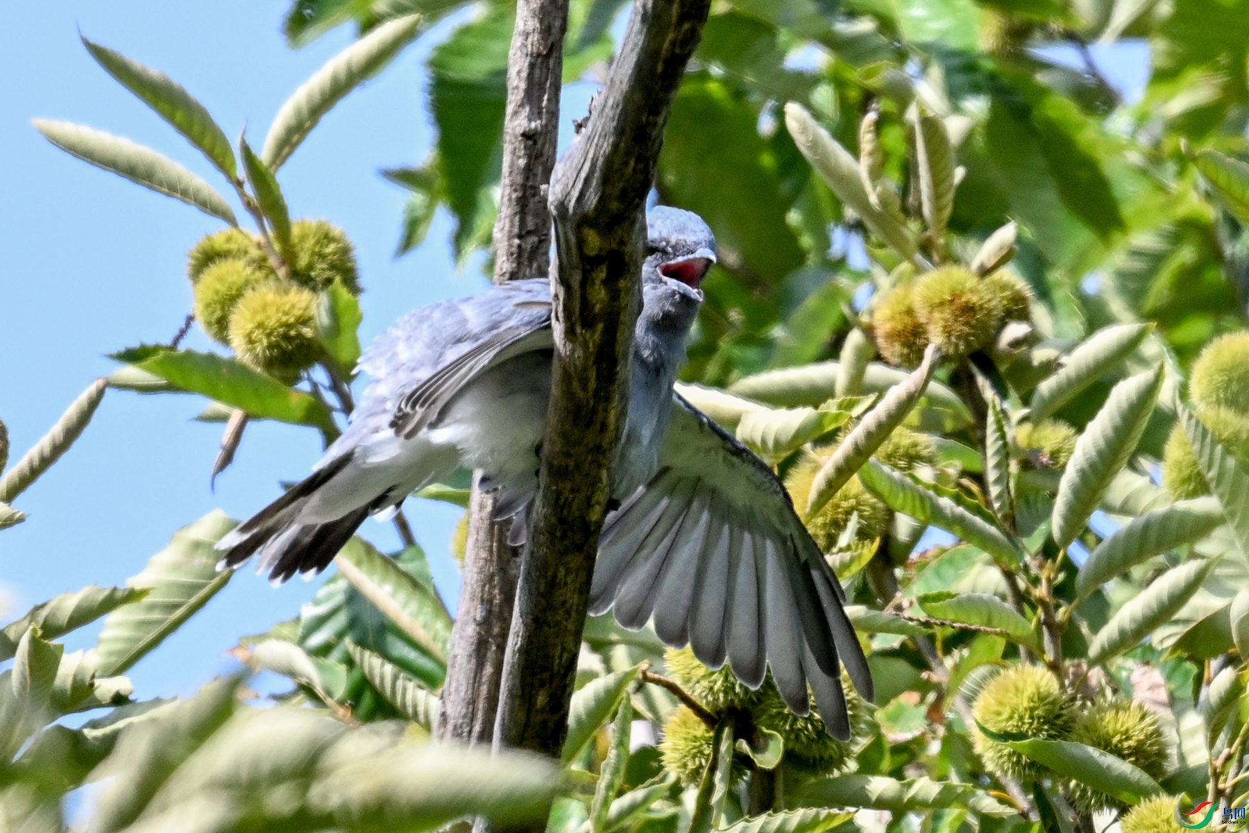DSC_4573.JPG