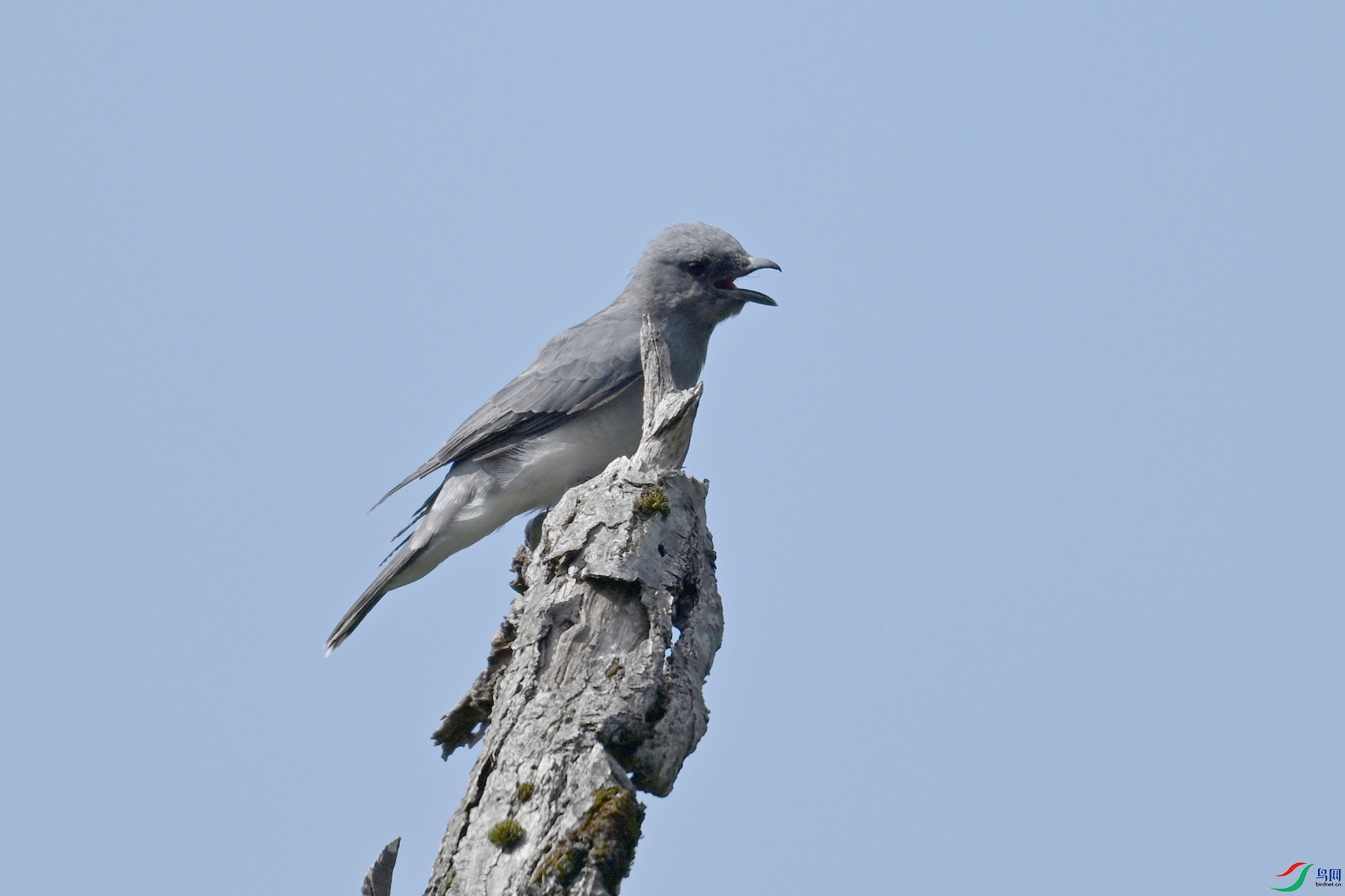 DSC_4563.JPG