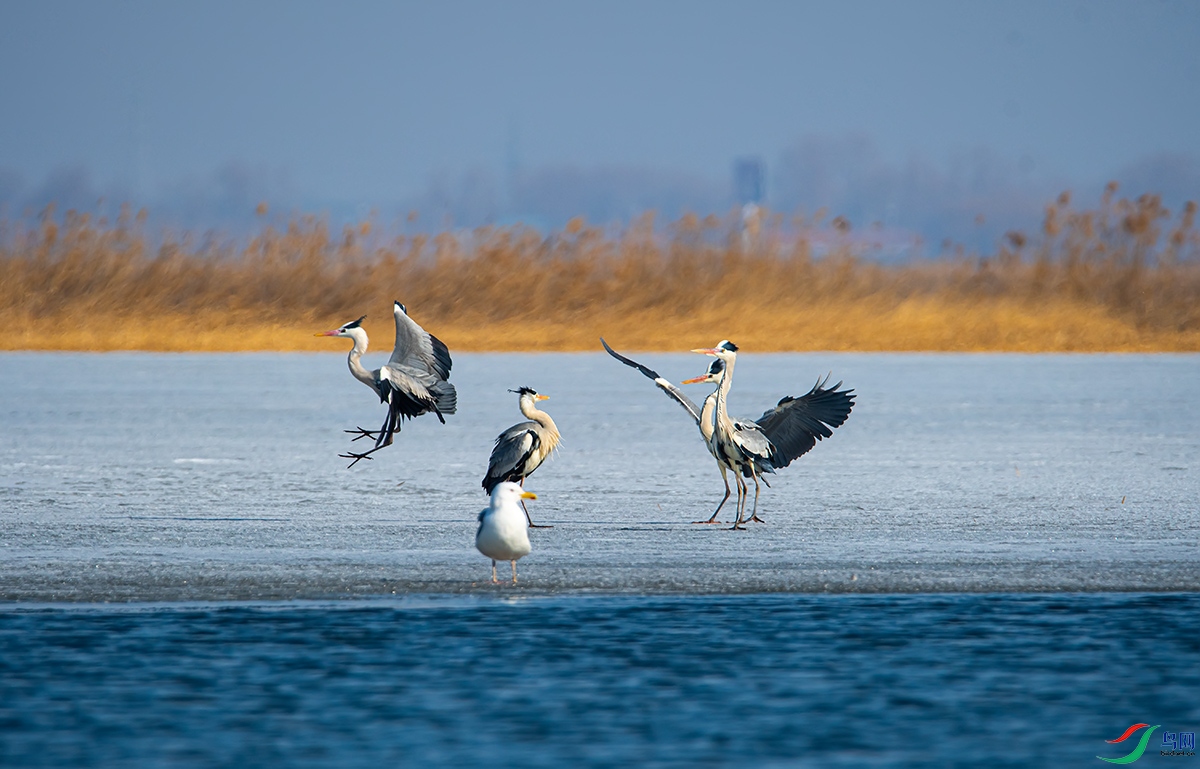 20210313 (134).jpg