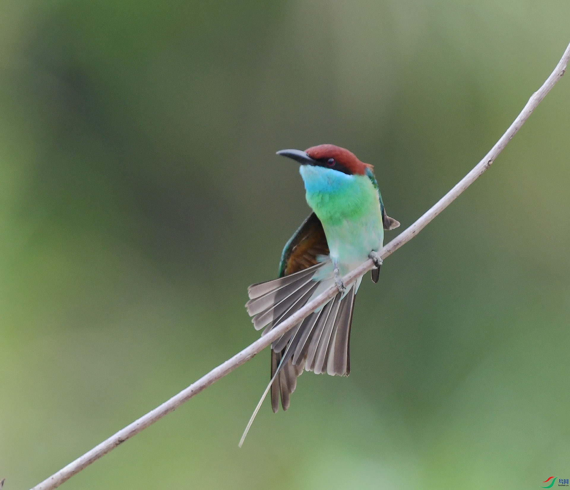 DSC_2371.jpg