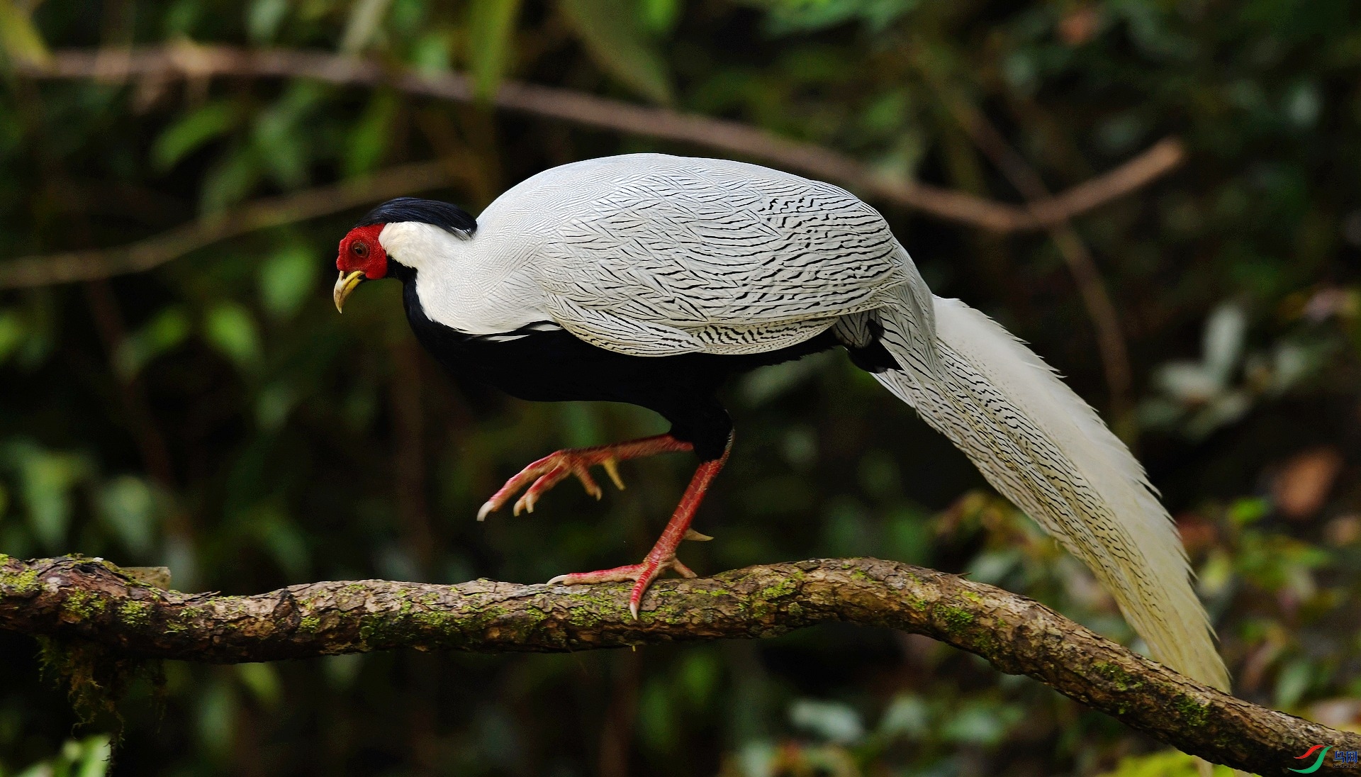 DSC_2990.jpg
