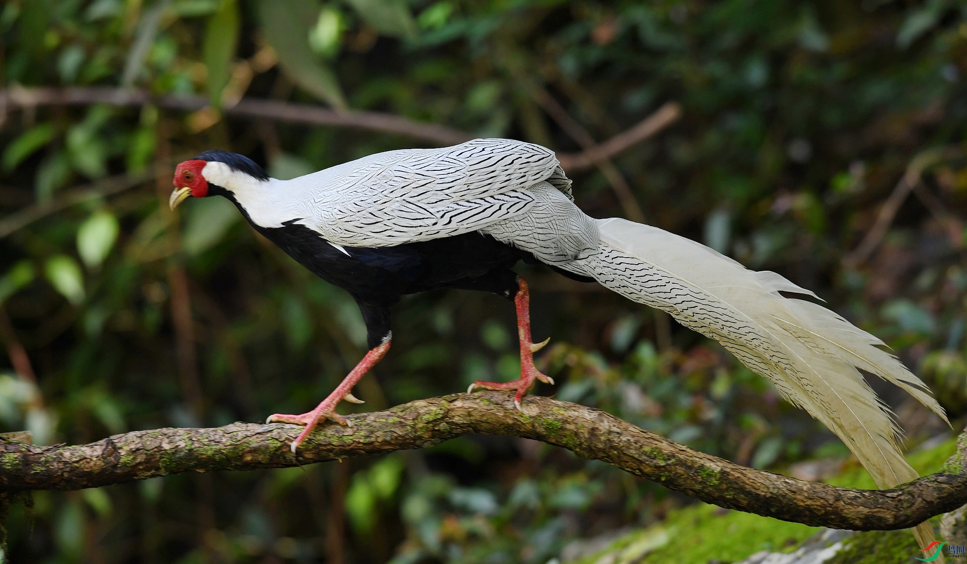 DSC_2808.jpg