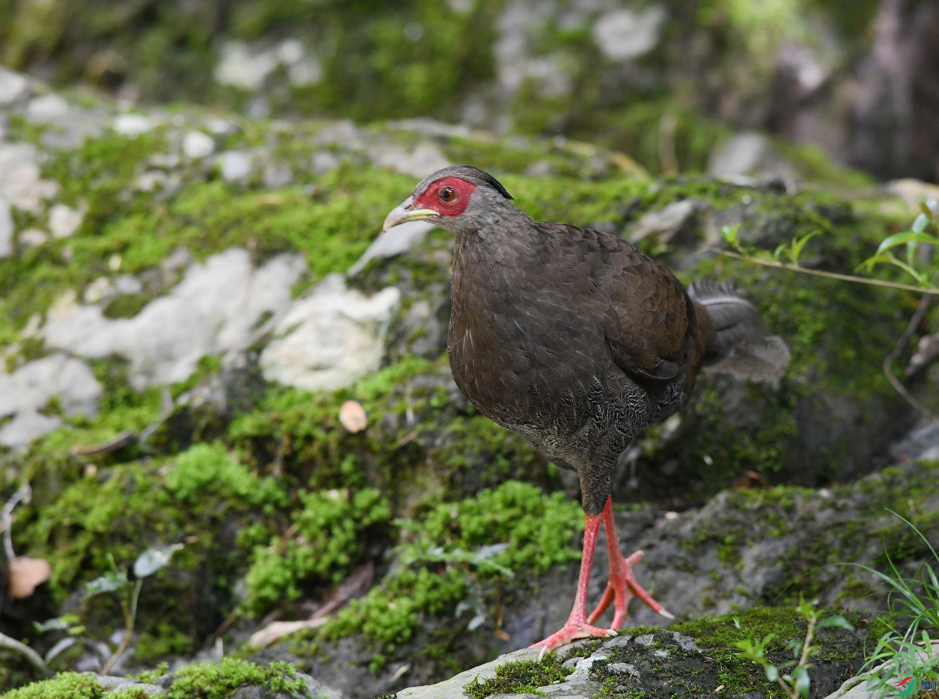 DSC_3091.jpg