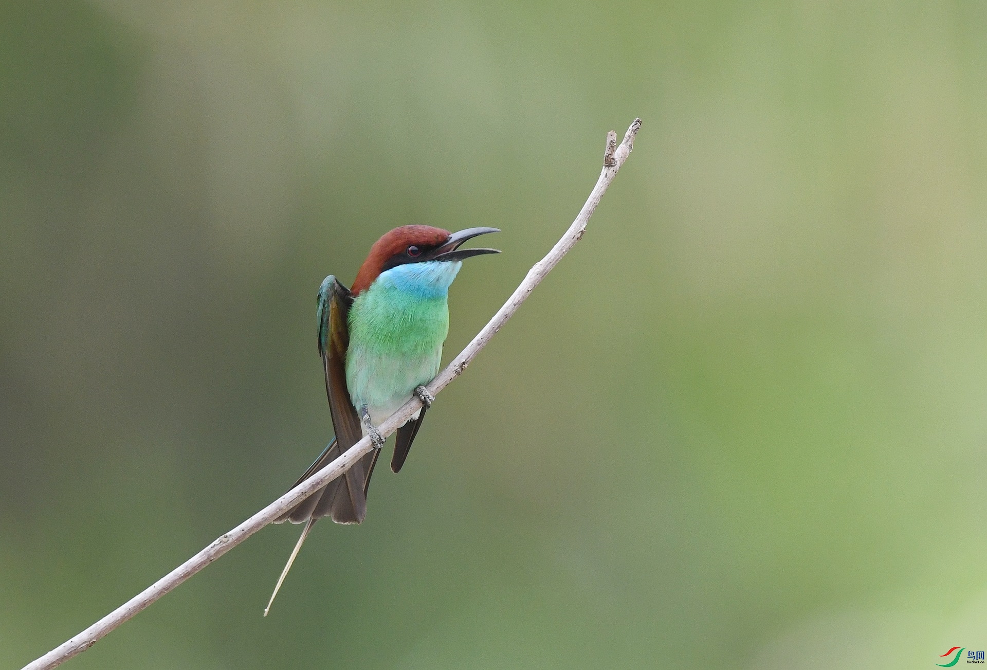 DSC_2276.jpg