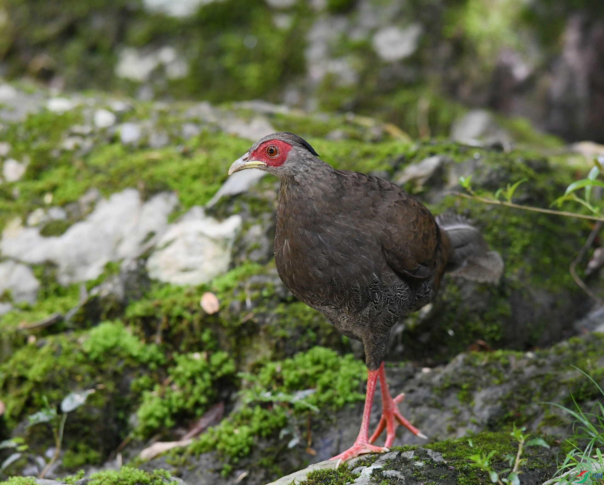 DSC_3090.jpg