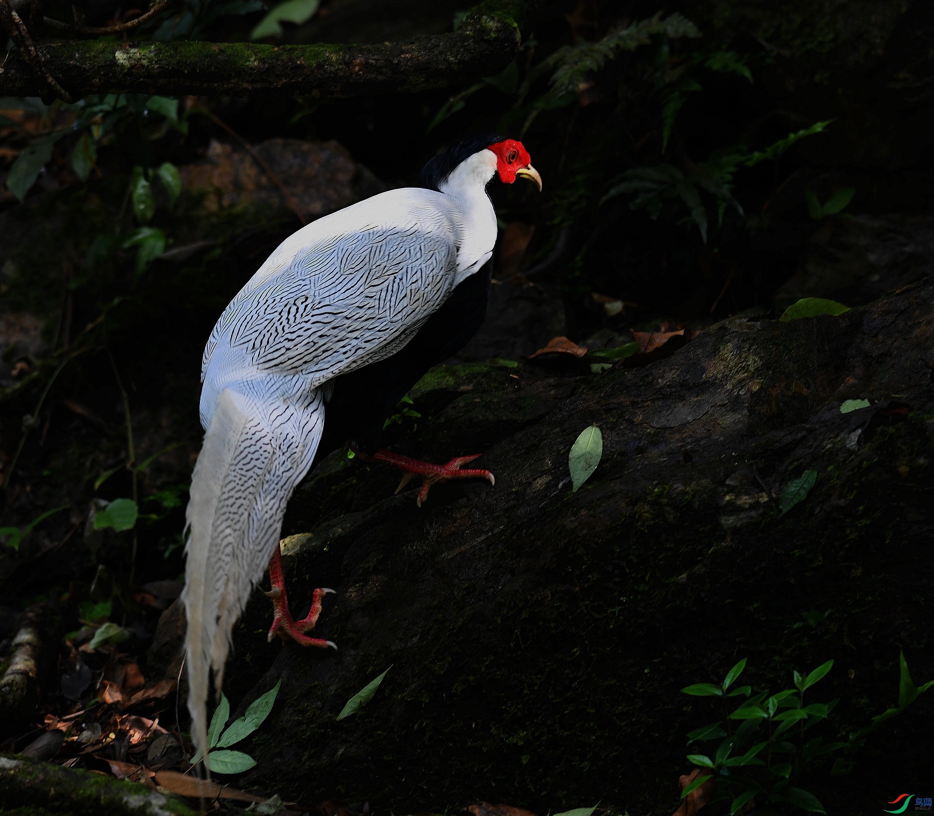 DSC_3026.jpg