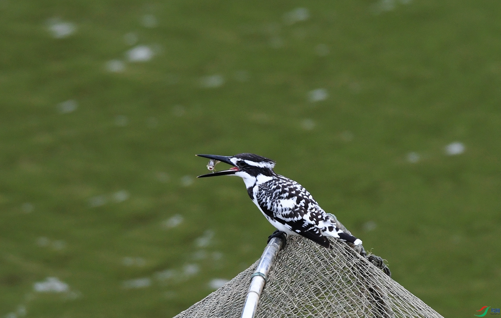 DSC_9140.jpg