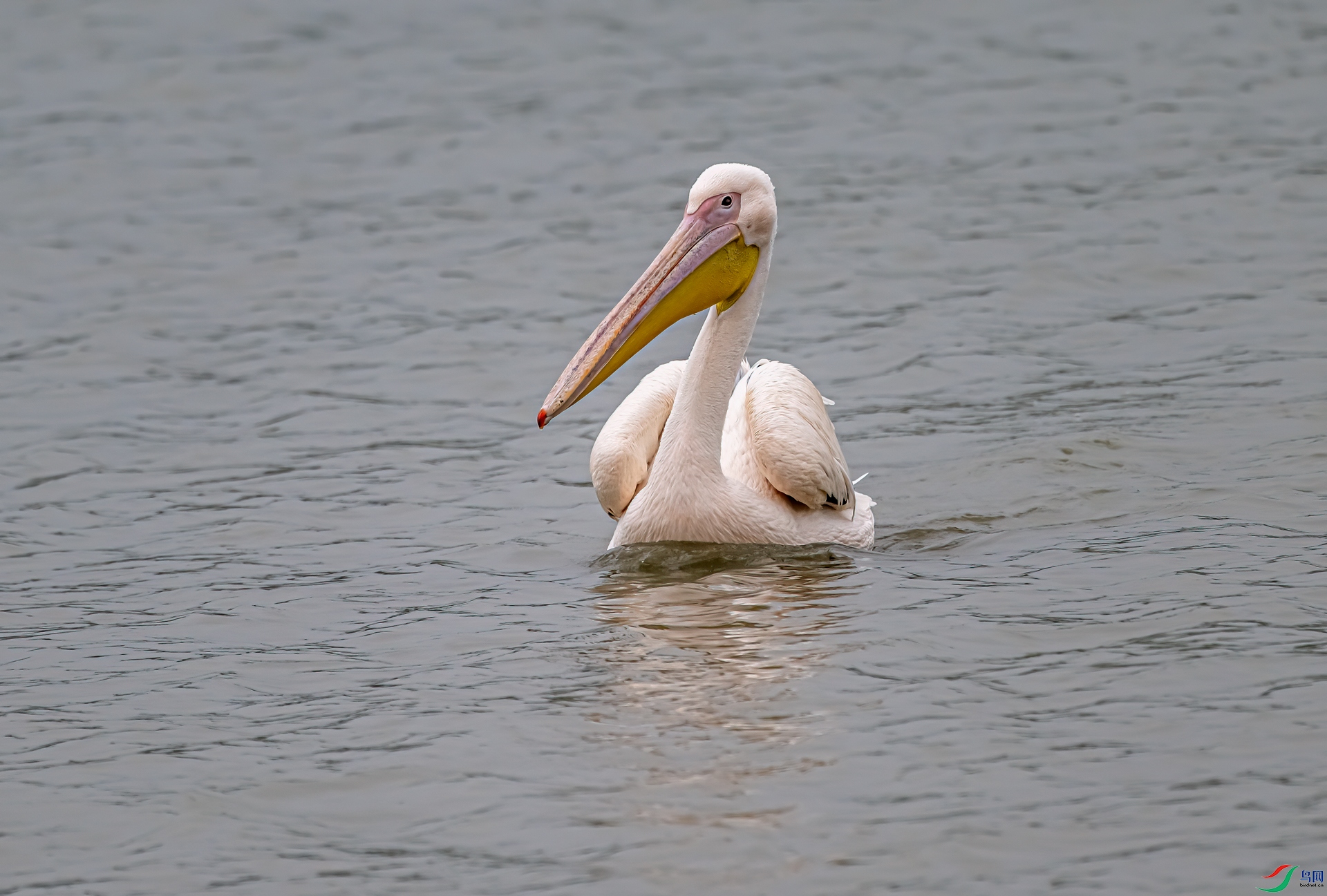 DSC_8955-11`.jpg
