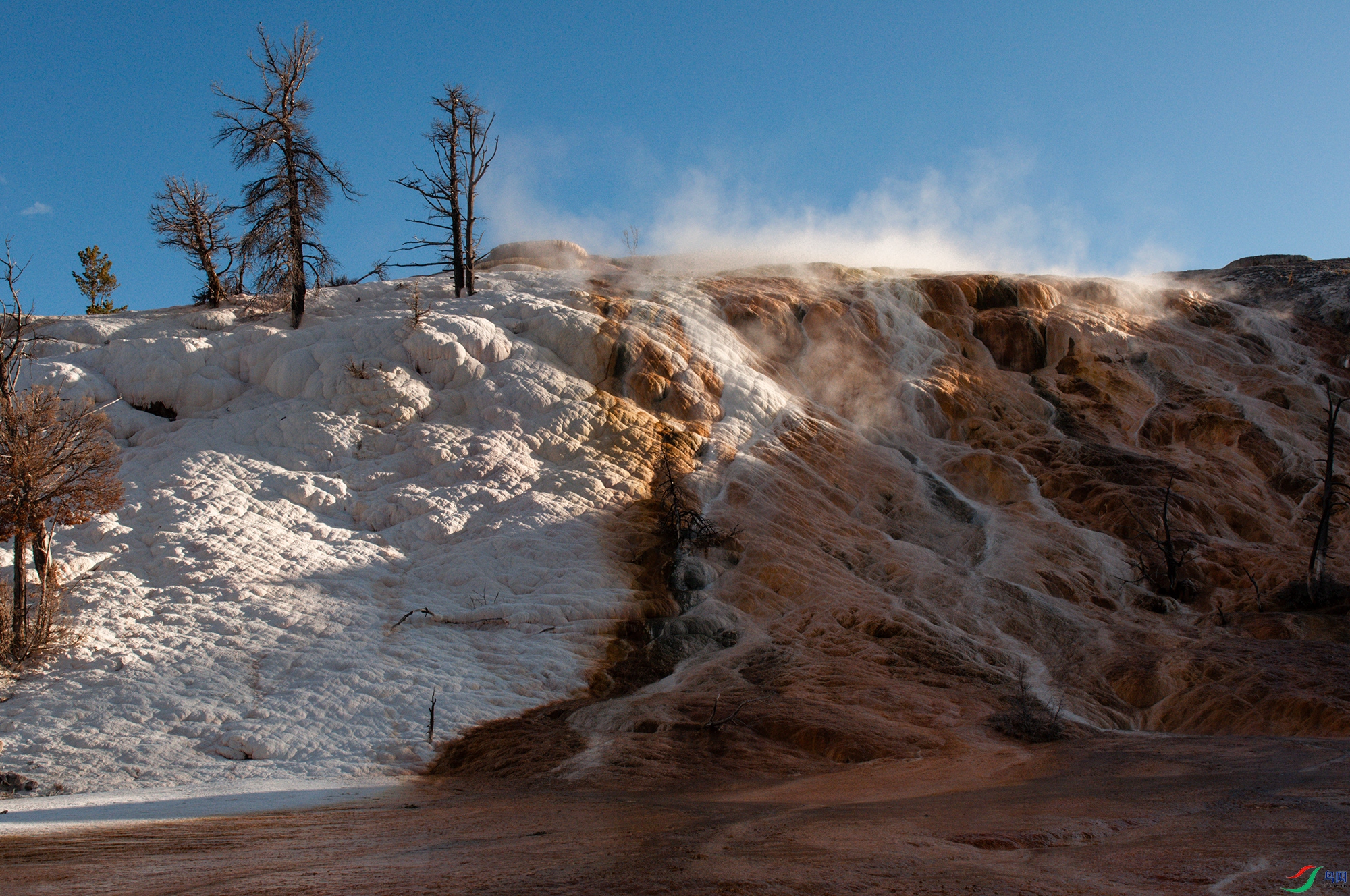 DSC_0469-1.jpg