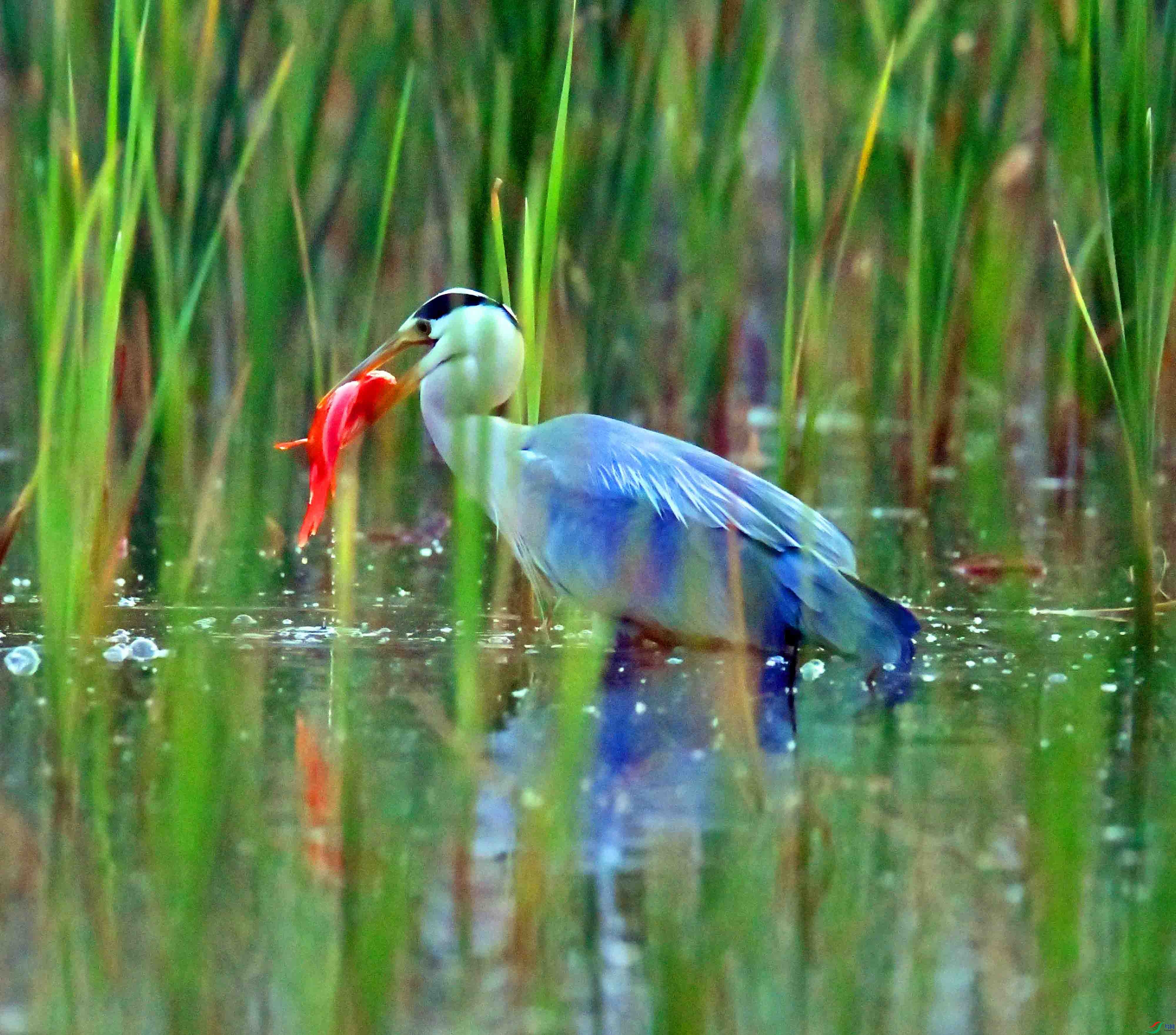 DSC_9986.JPG