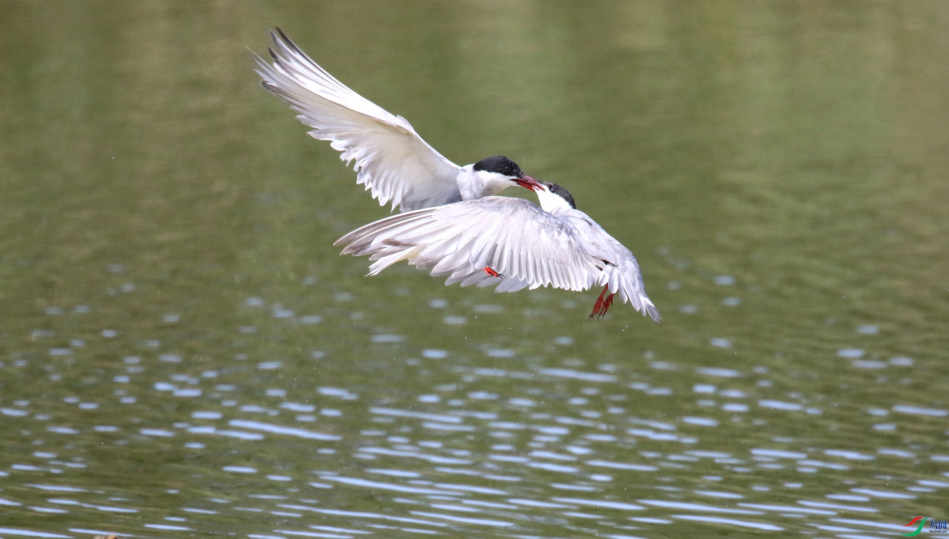 0G1A1894.JPG