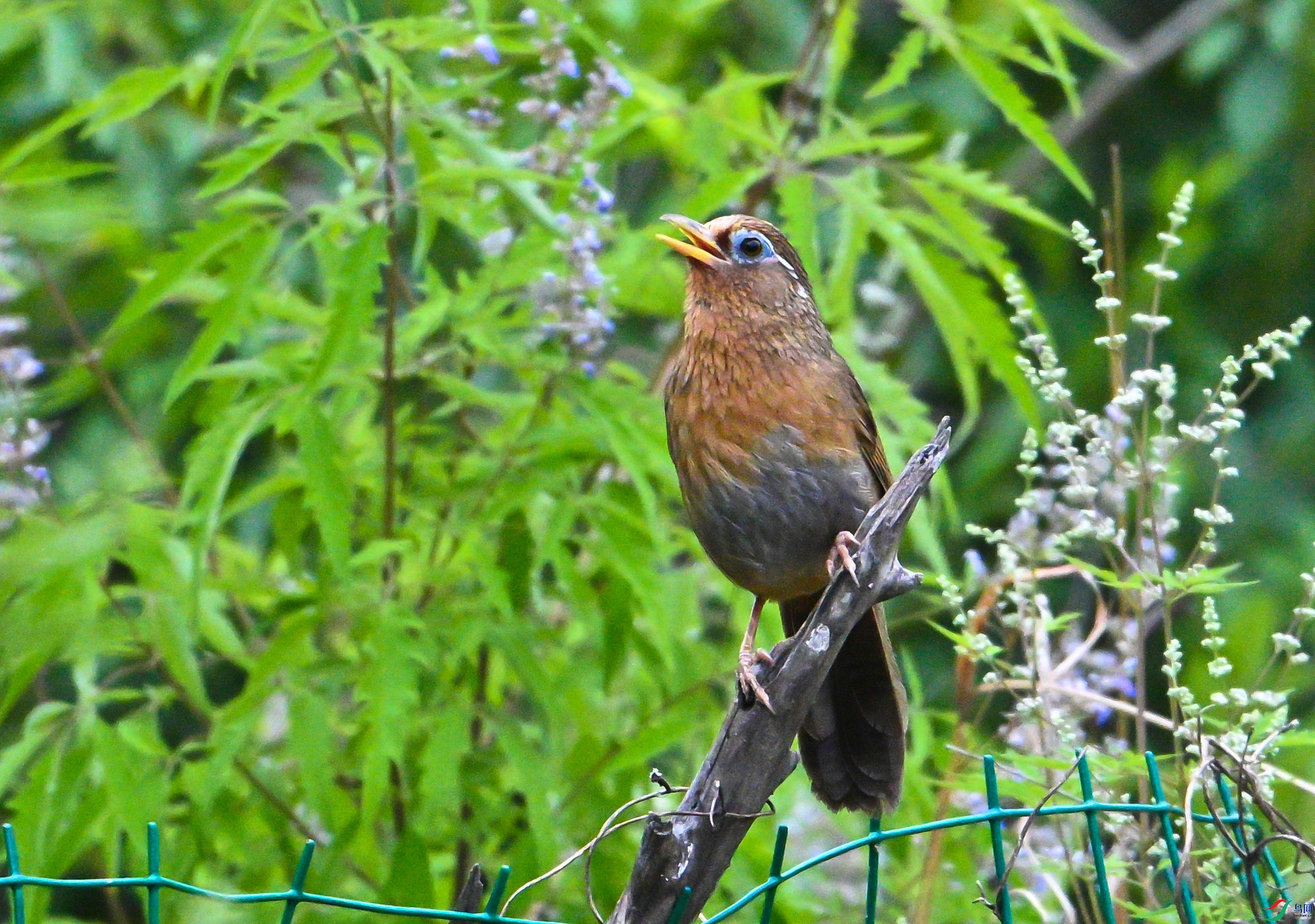 w1.JPG