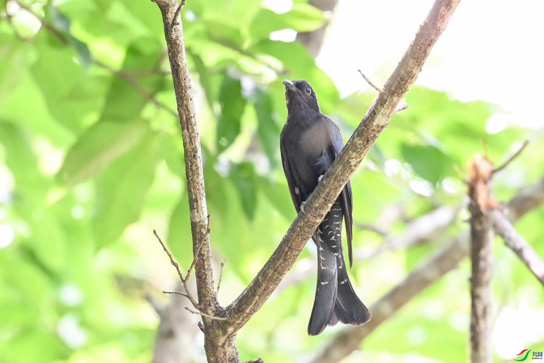 DSC_0887.JPG
