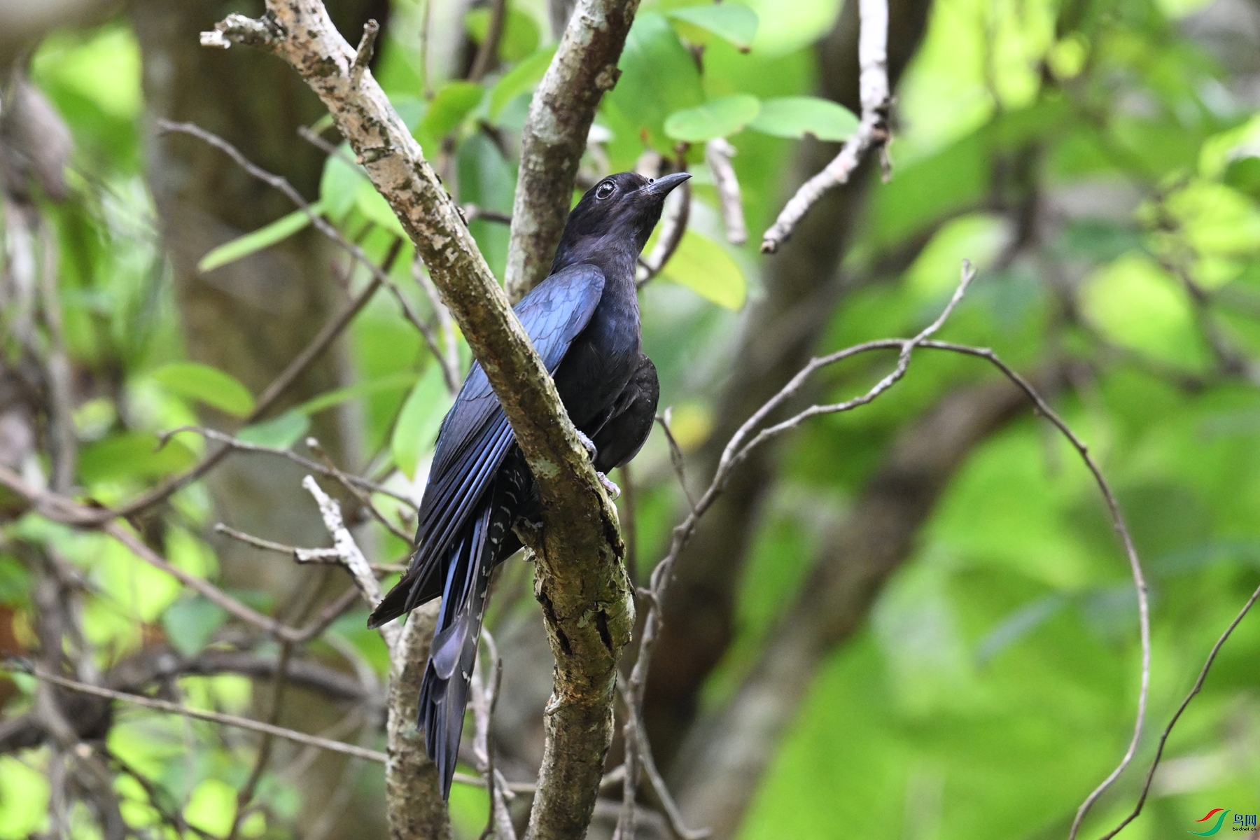 DSC_0964.JPG