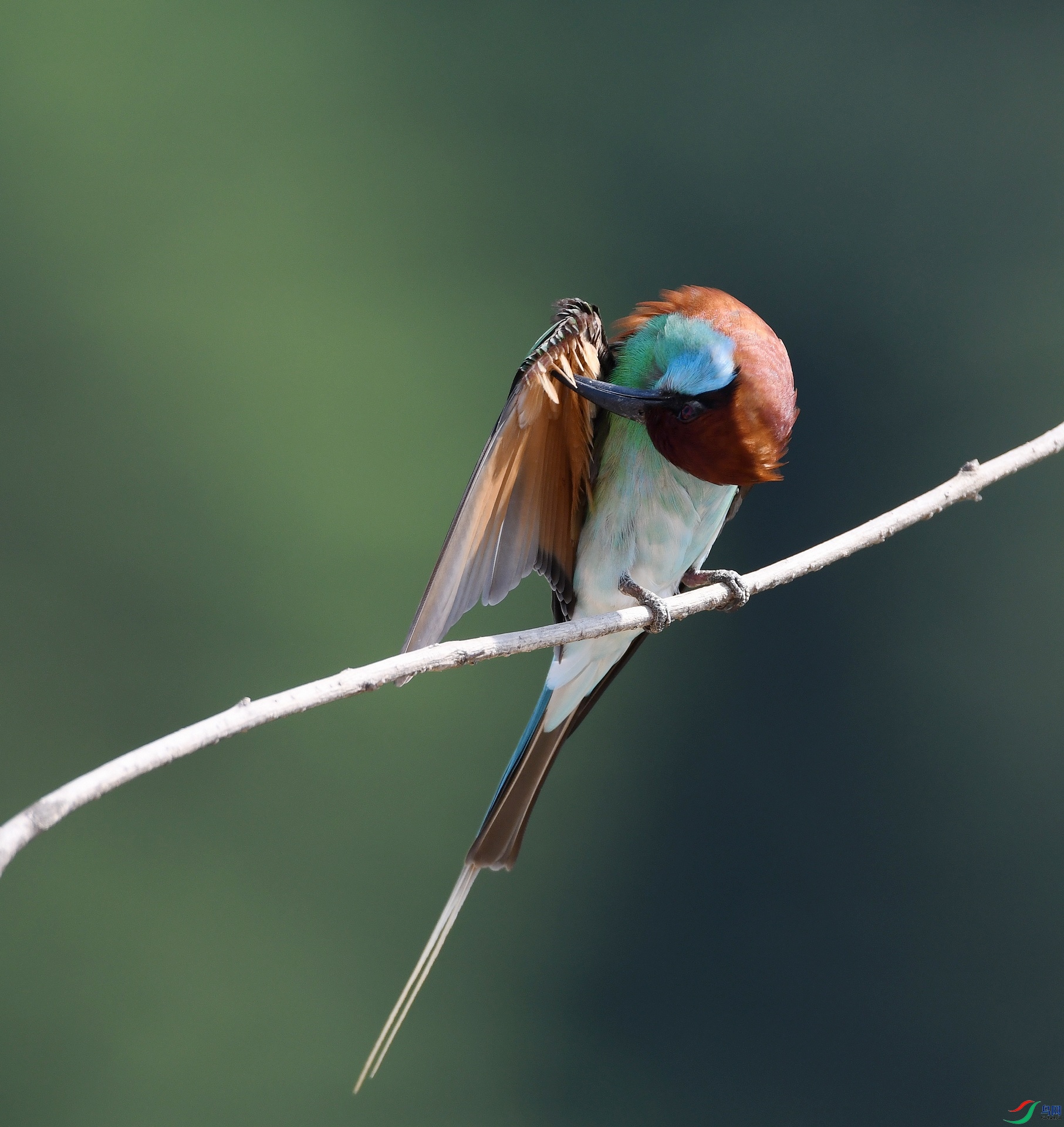 DSC_1455.jpg