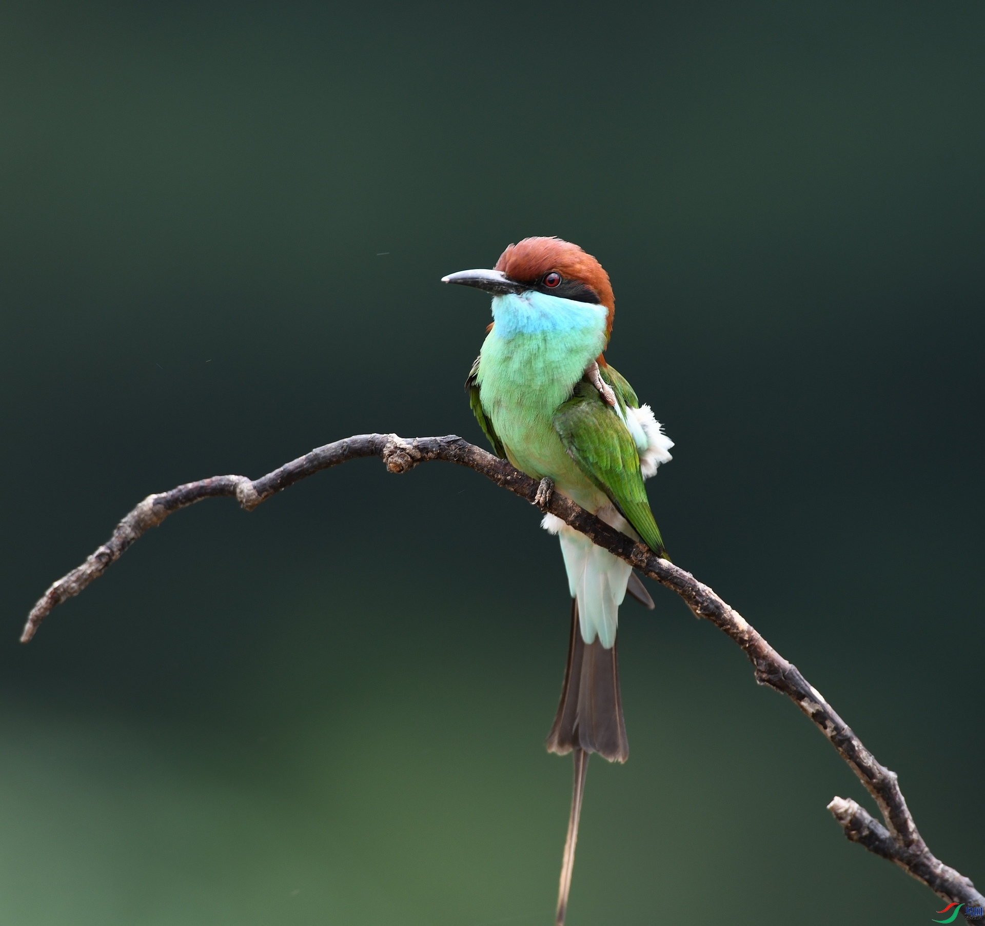 DSC_0602.jpg
