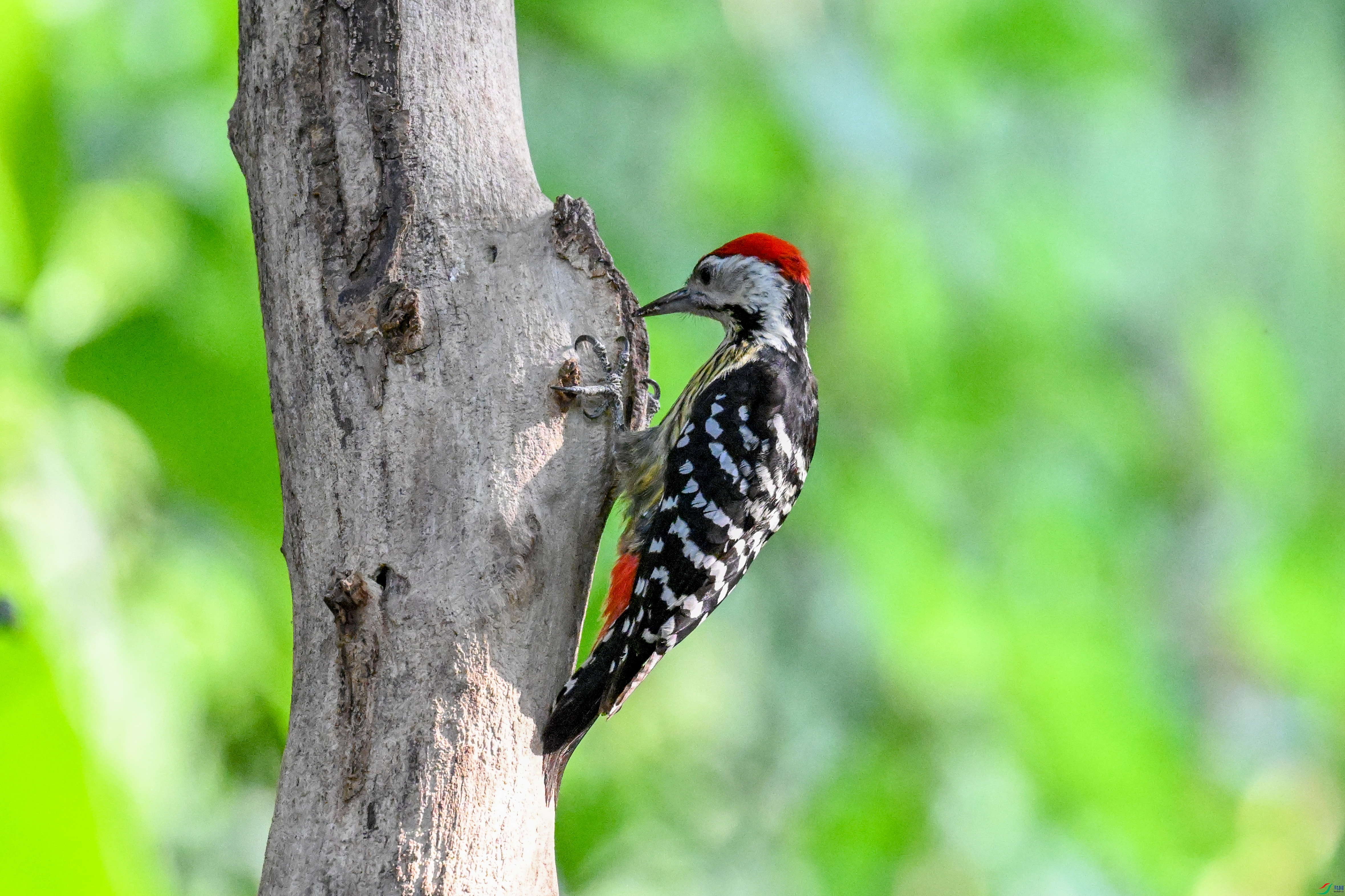 DSC_5574.JPG