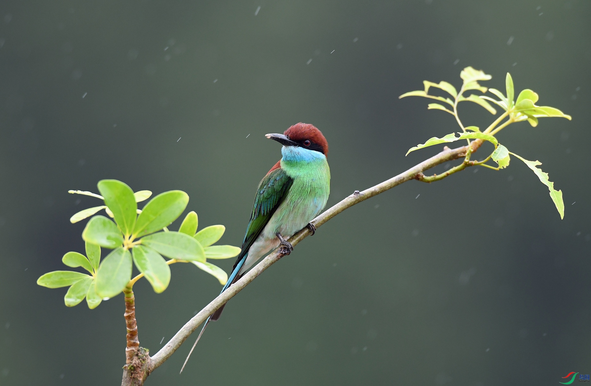 DSC_8697.jpg