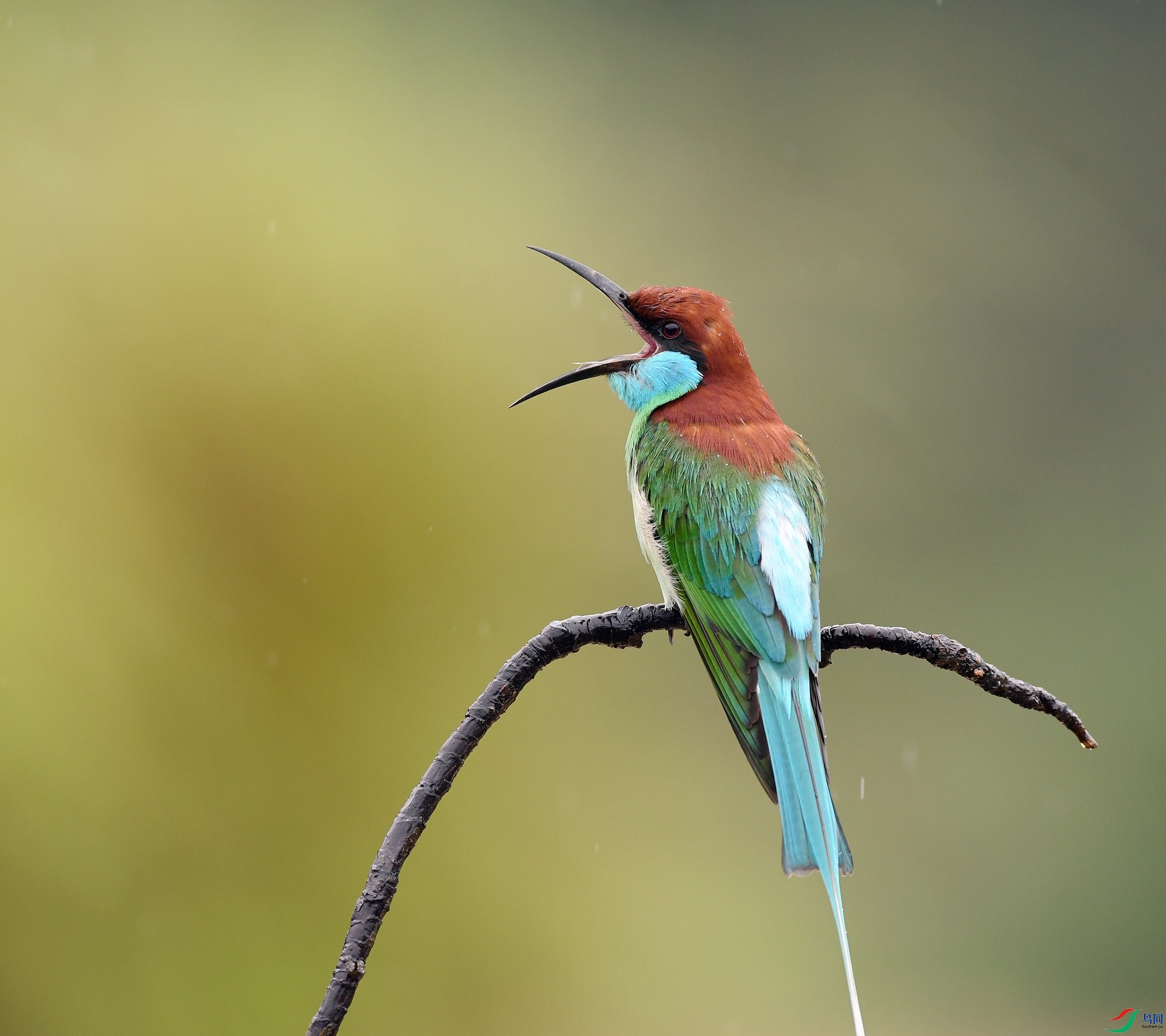 DSC_8704.jpg