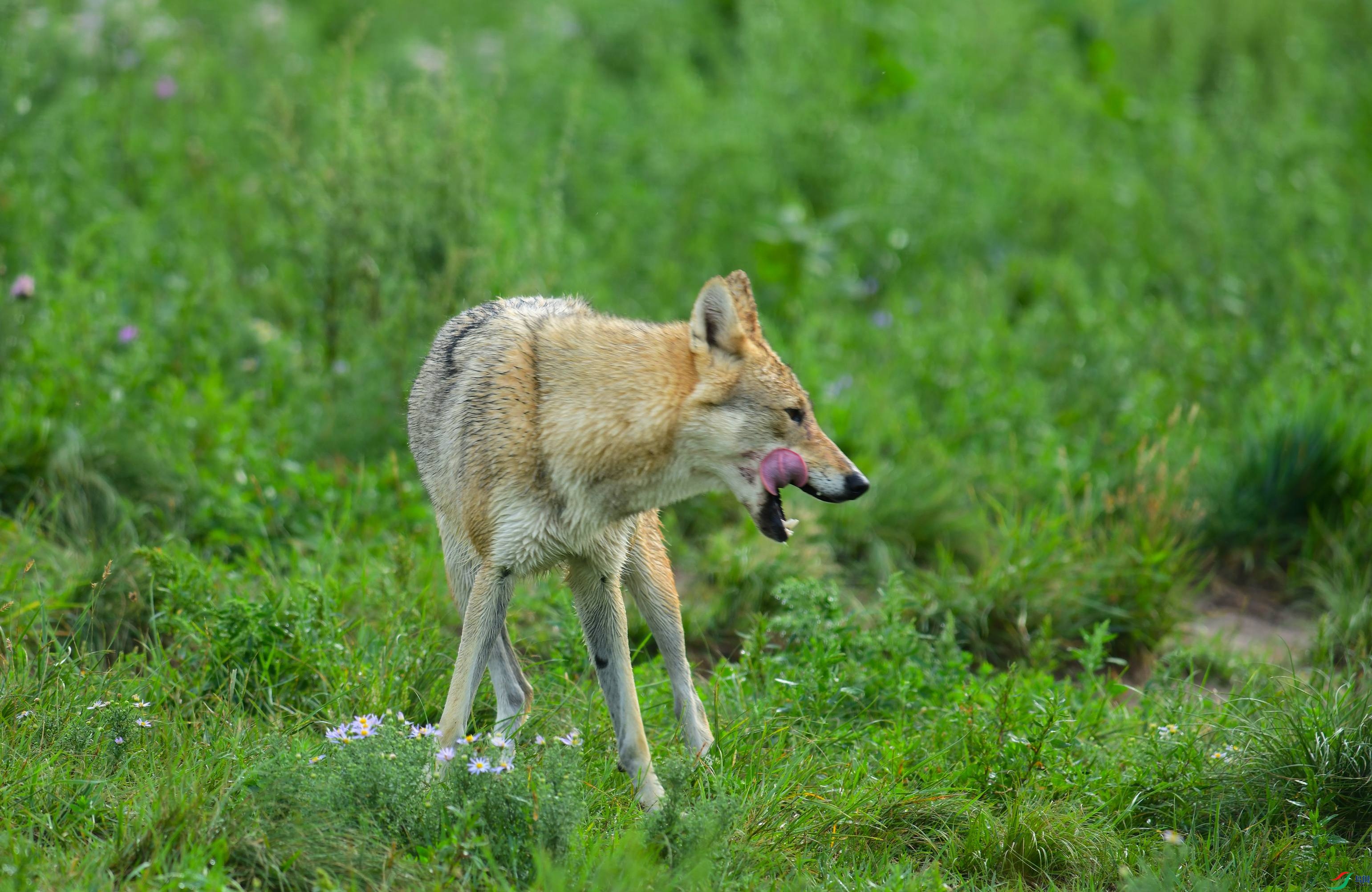 DSC_1544.JPG
