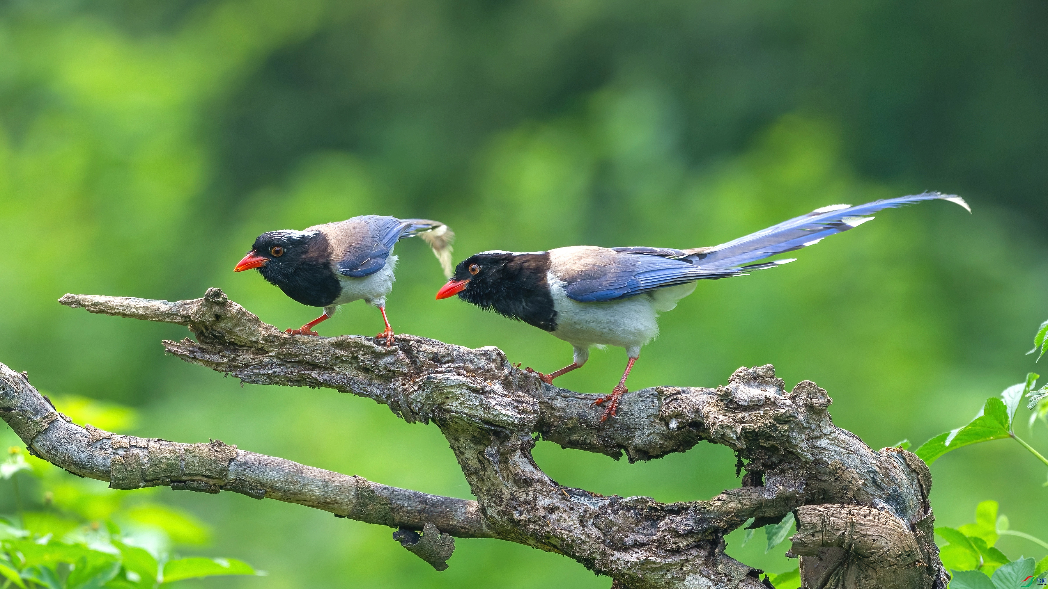 DSC_5453.jpg