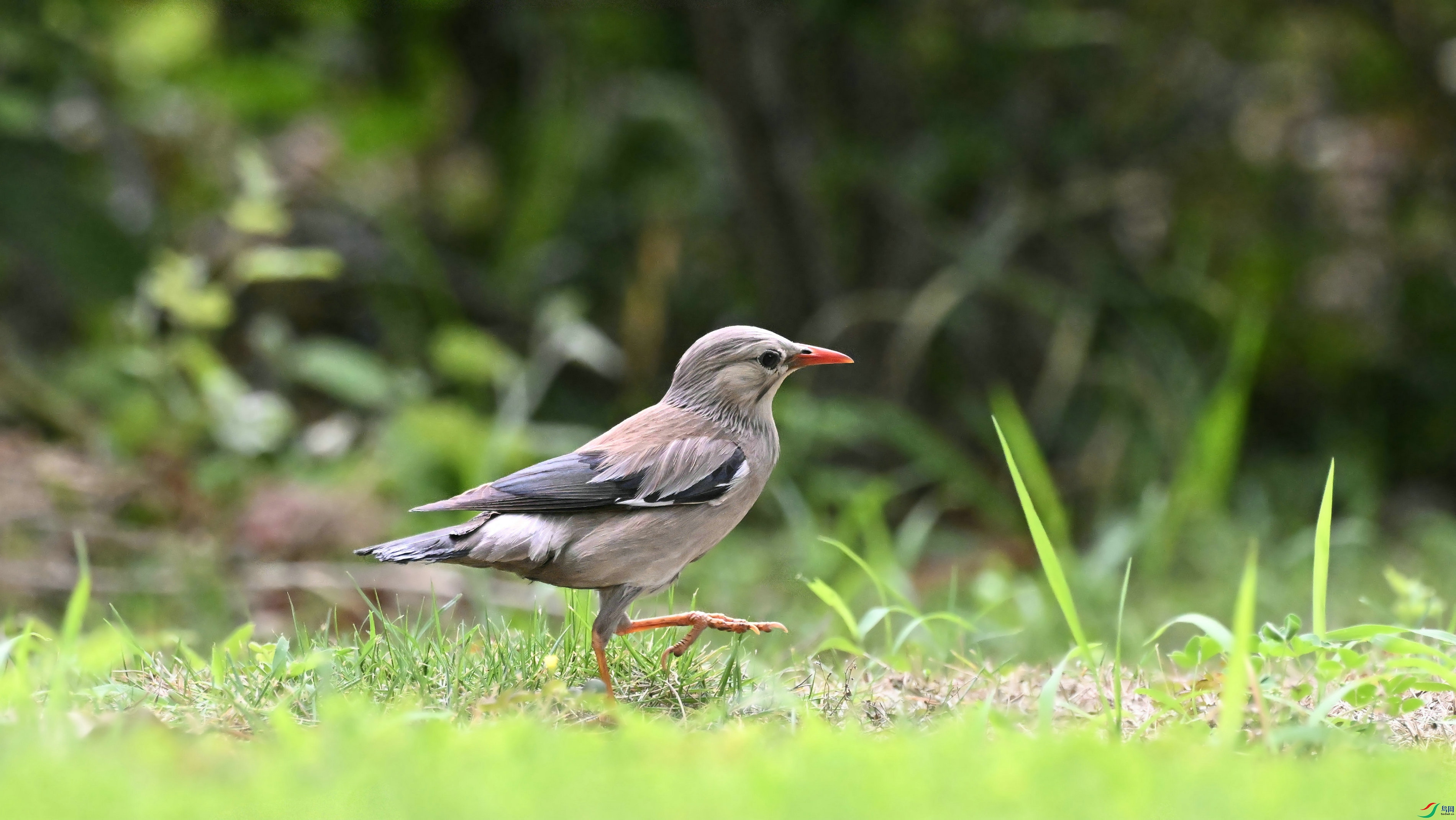DSC_2713.JPG