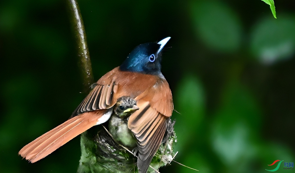 DSC_6206.JPG
