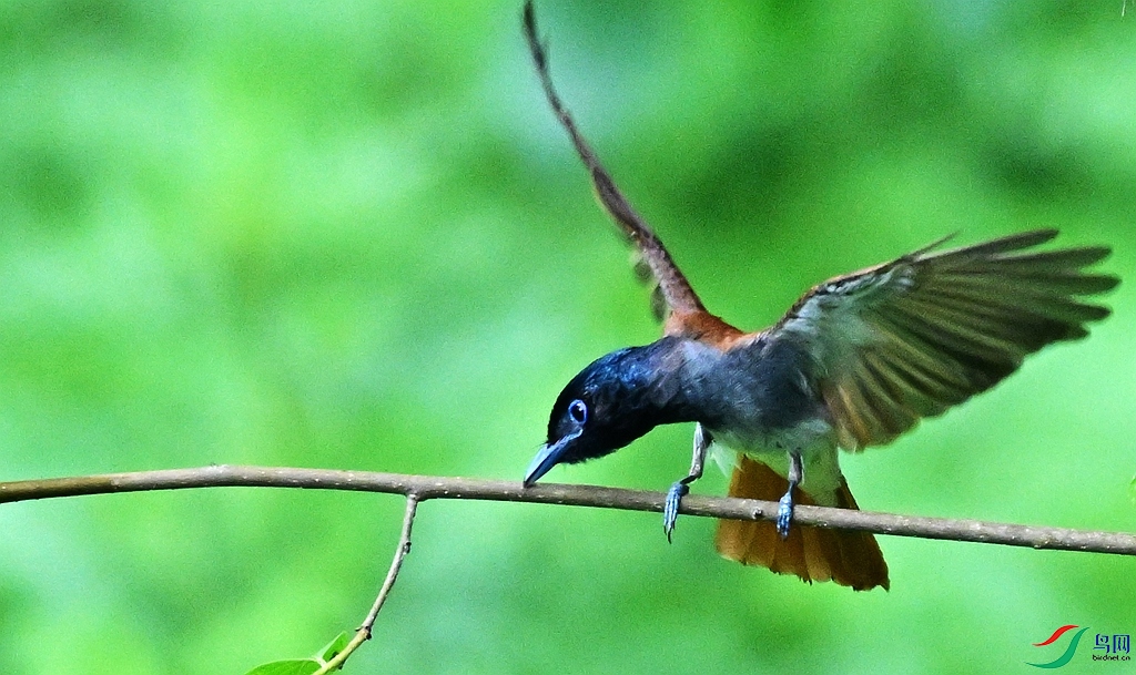 DSC_8099_����.jpg
